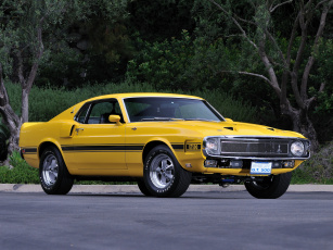 Картинка автомобили mustang желтый 1969 gt500 shelby