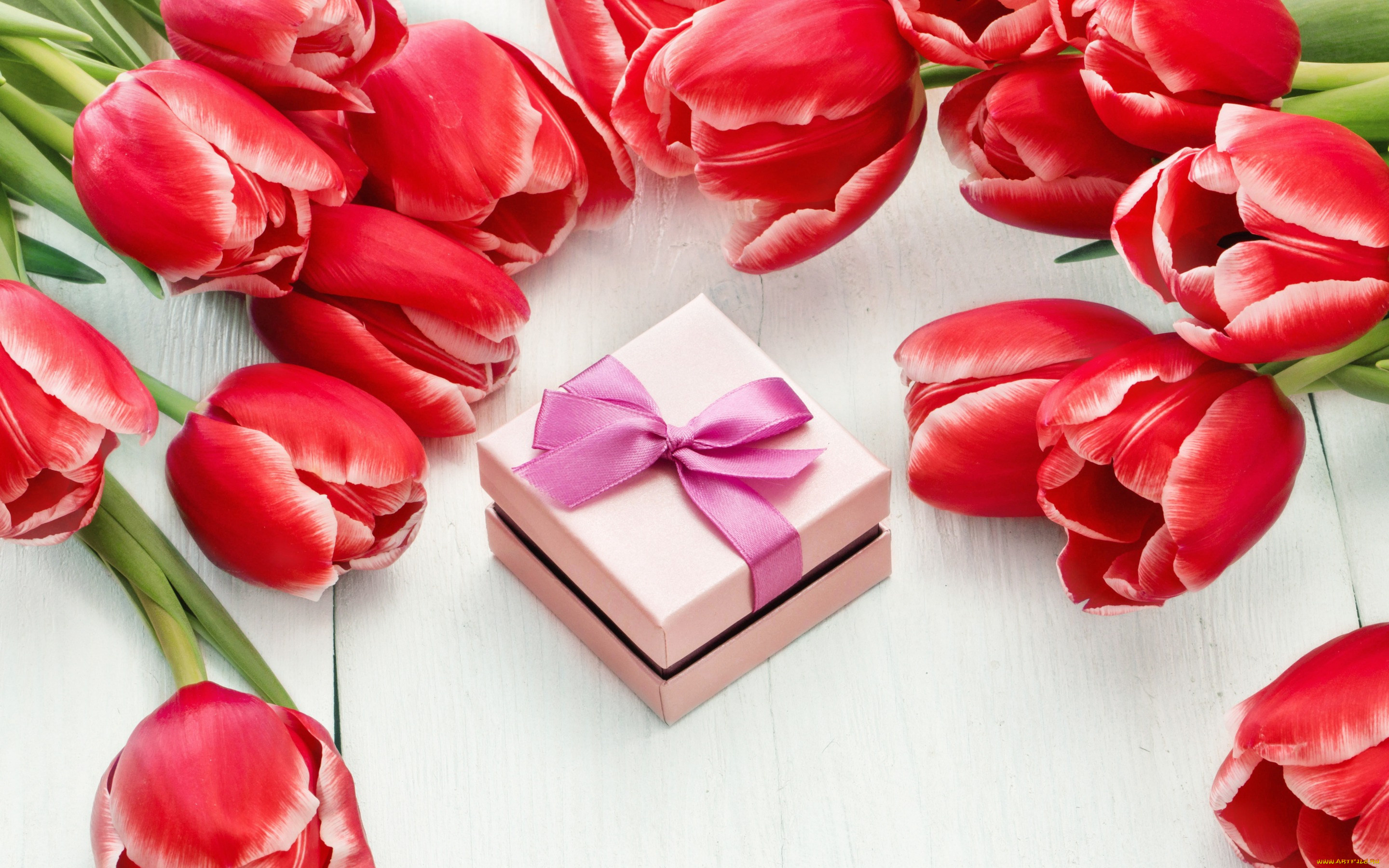 праздничные, международный, женский, день, -, 8, марта, цветы, red, tulips, тюльпаны, 8, марта, romantic, gift, красные, colorful, love