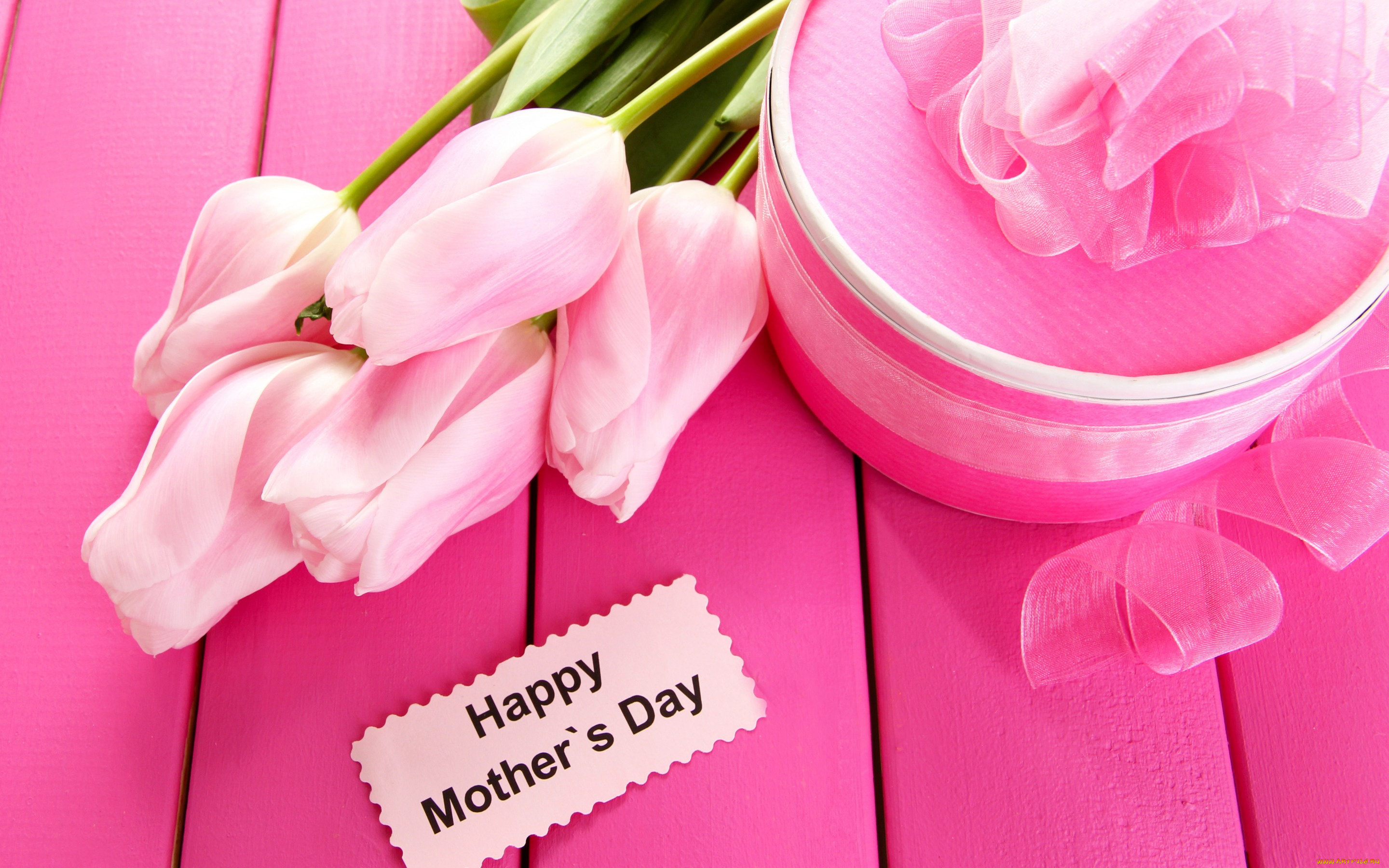 праздничные, международный, женский, день, -, 8, марта, tulips, 8, марта, тюльпаны, gift, цветы, подарок, лента, flowers