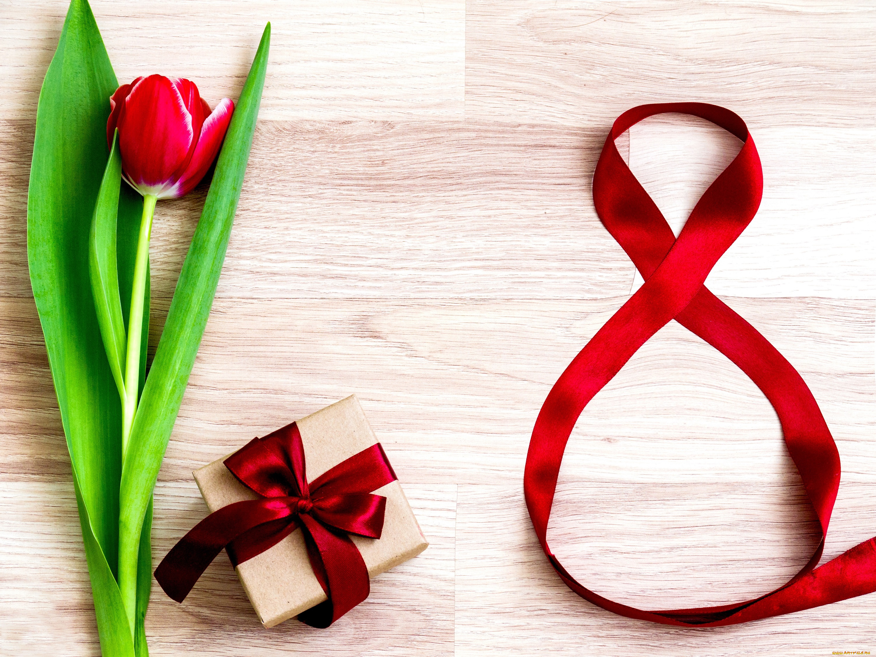 праздничные, международный, женский, день, -, 8, марта, тюльпаны, 8, марта, romantic, gift, love, цветы, red, tulips, лента