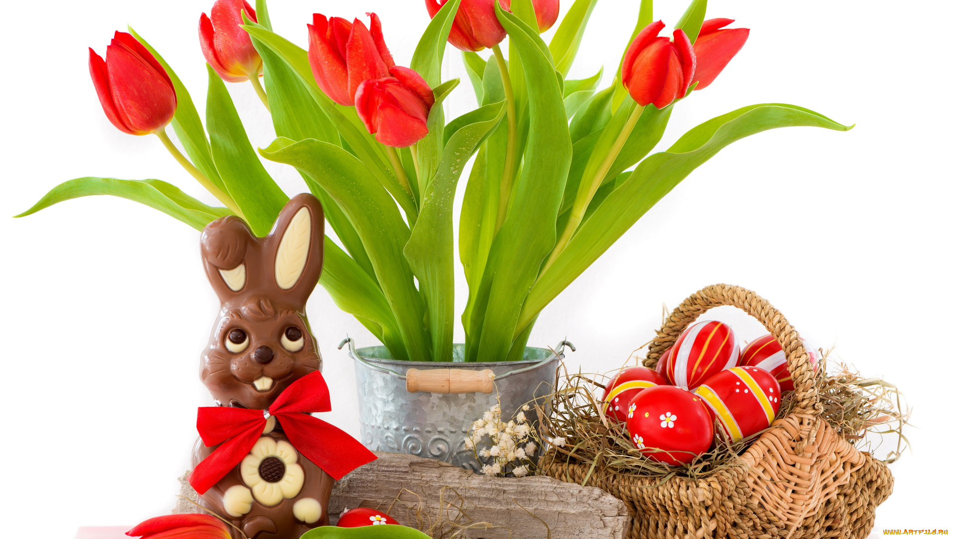 праздничные, пасха, тюльпаны, яйца, red, bunny, tulips, flowers, eggs, easter