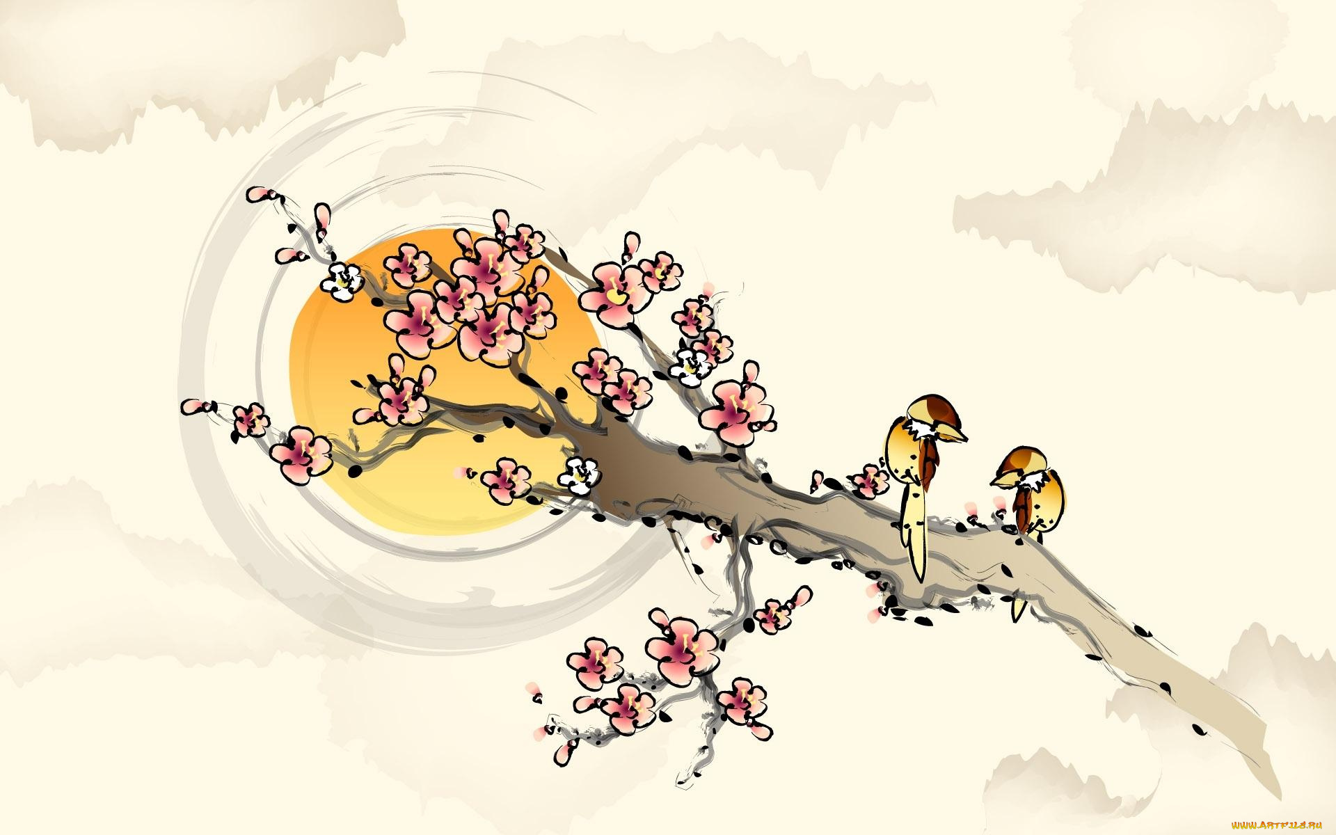 рисованное, природа, ветка, сакура, весна, цветение, птицы