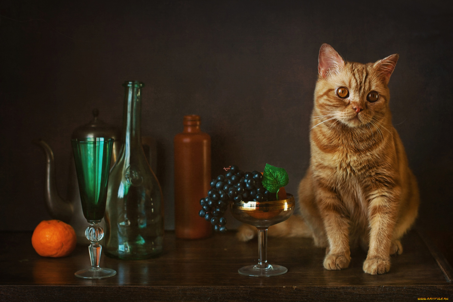 животные, коты, бокал, котейка, виноград, бутылки, рыжий, кот, мандарин