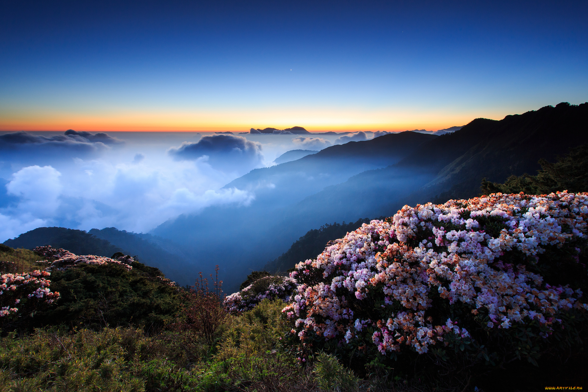 hehuanshan, природа, горы, облака, закат