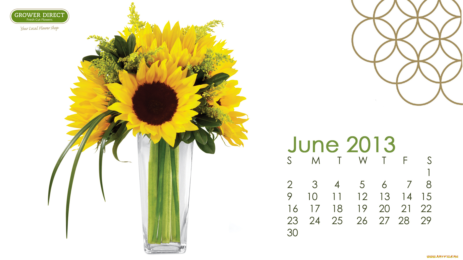 календари, цветы, подсолнухи