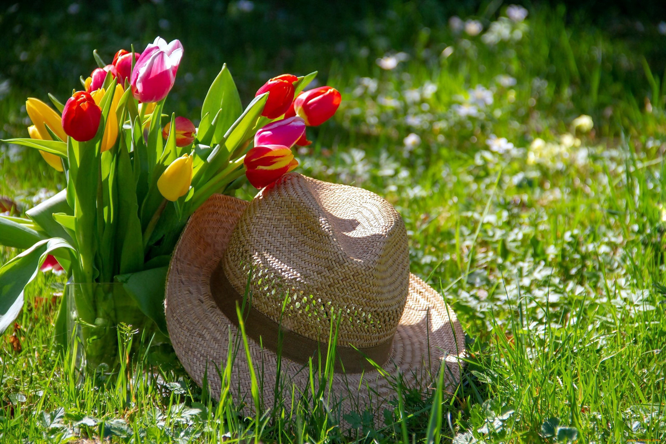 цветы, тюльпаны, шляпа, трава