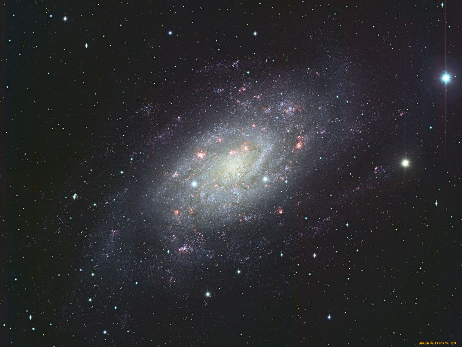 спиральная, галактика, ngc, 2403, космос, галактики, туманности