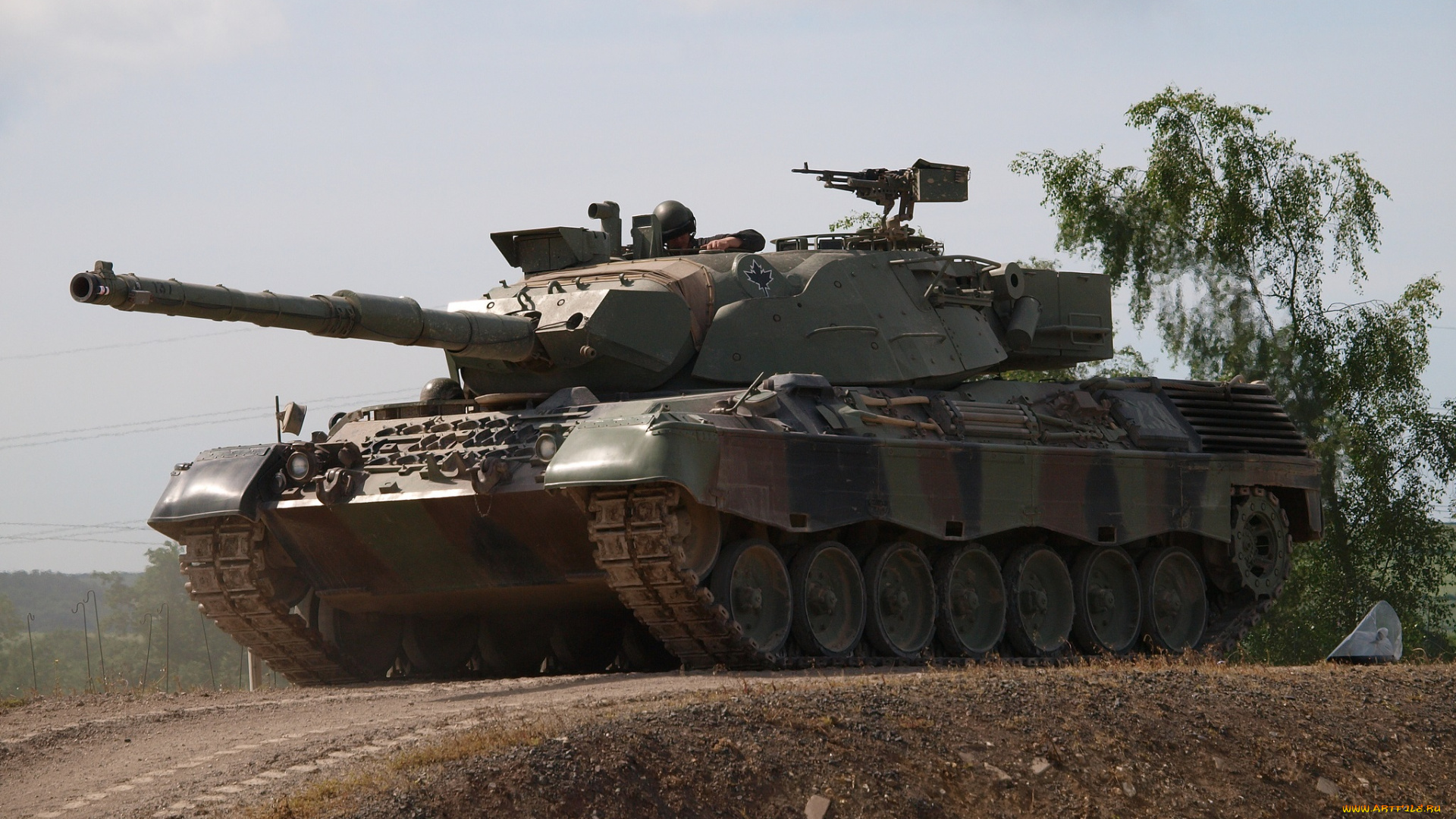 leopard, 1, c2, mbt, техника, военная, техника, бронетехника, танк
