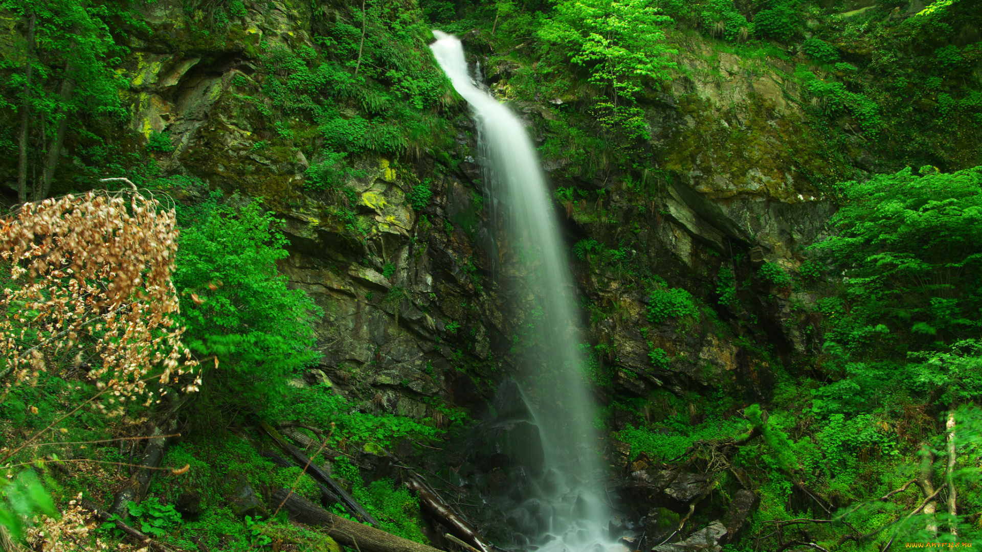 природа, водопады, leaves, water, waterfall, stream, осень, листья, autumn, вода, поток, водопад