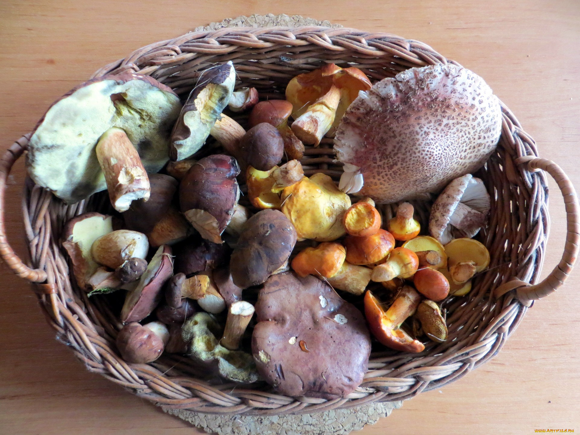 еда, грибы, , грибные, блюда, ассорти, грибное, корзинка