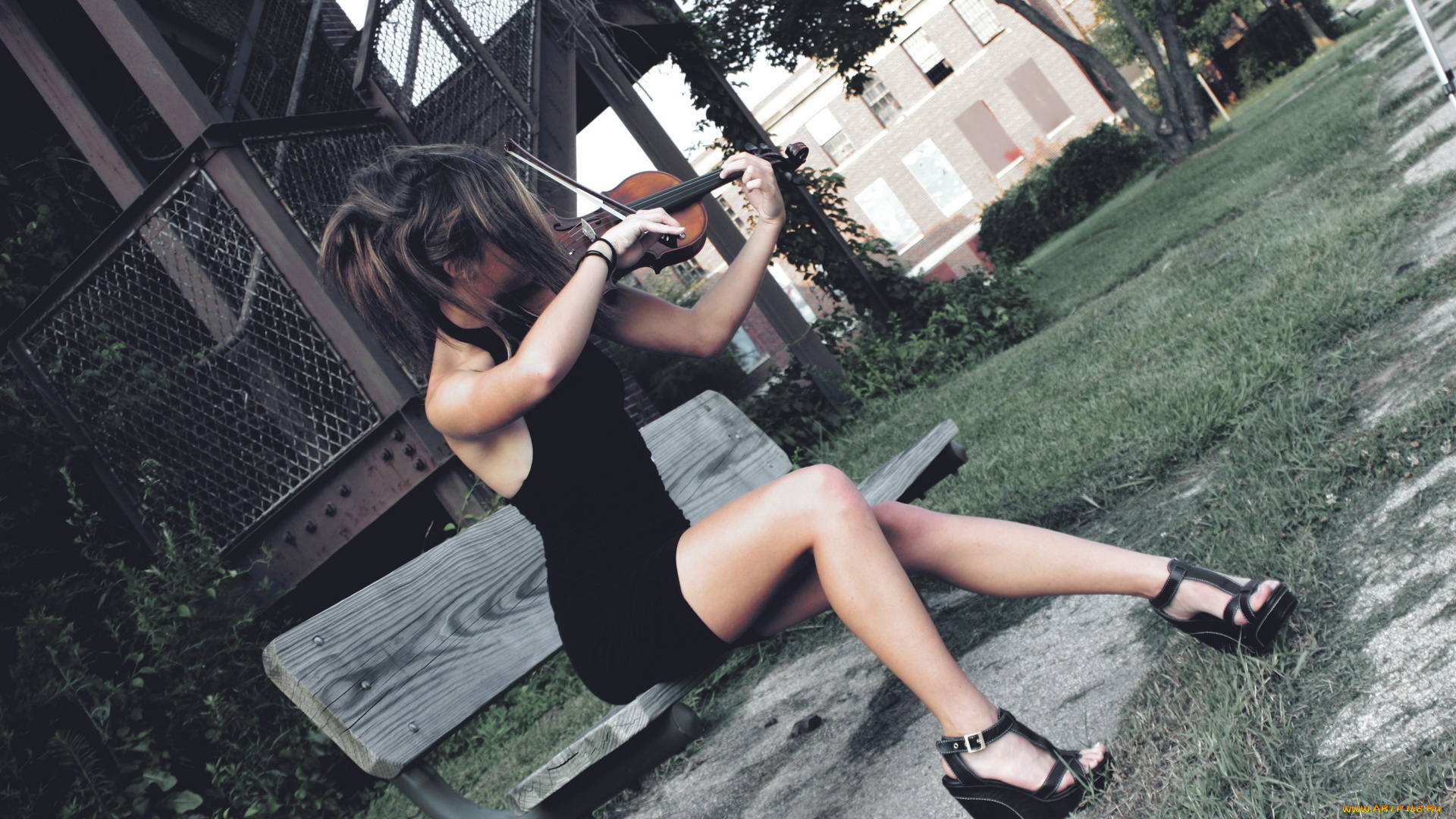 музыка, -, другое, девушка, скрипка, скамейка, растения, улица