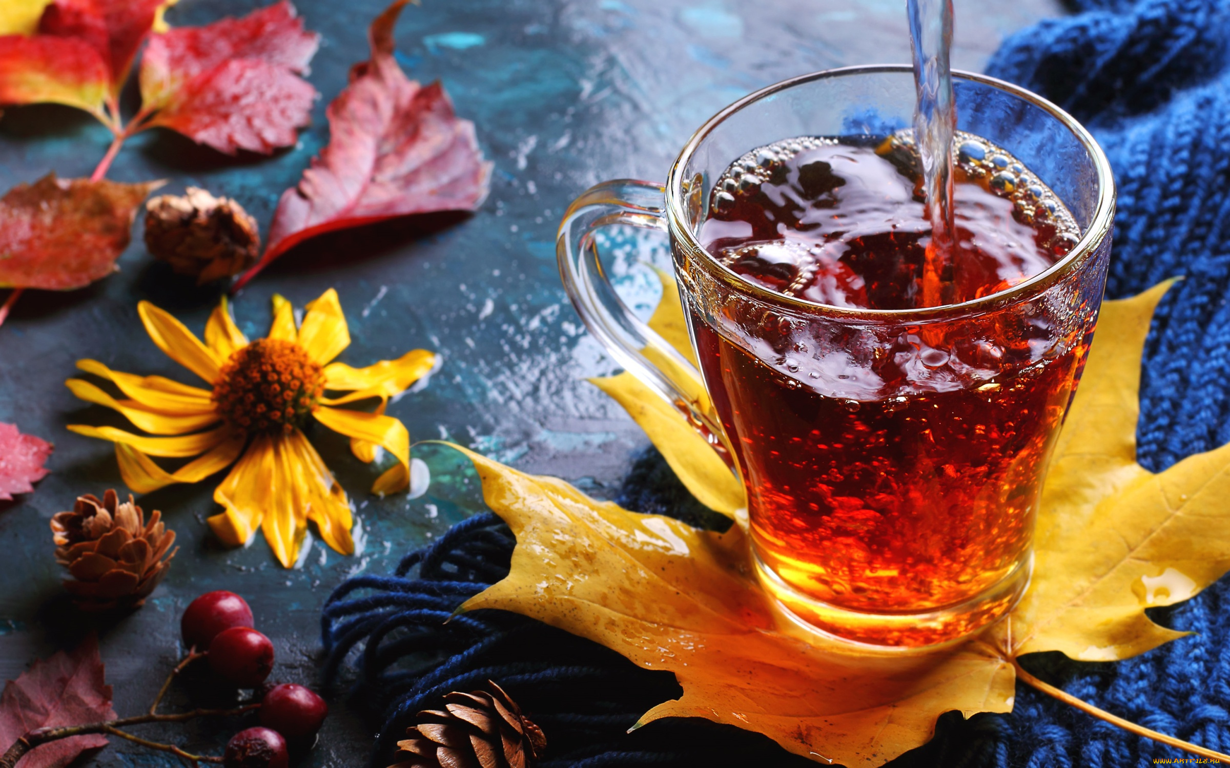 еда, напитки, , Чай, напиток, чай, листья, осень