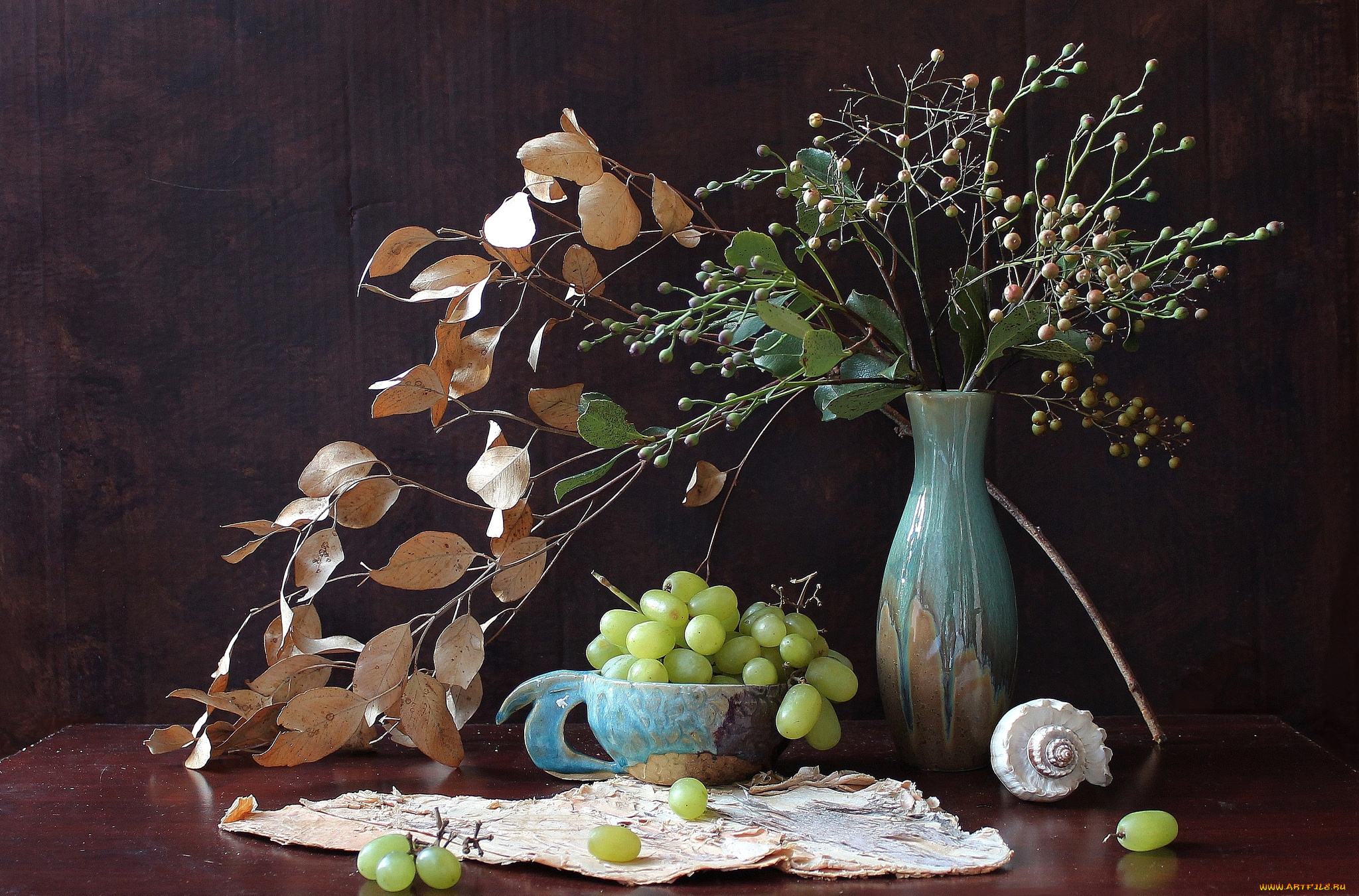 еда, натюрморт, виноград, листья, ракушка