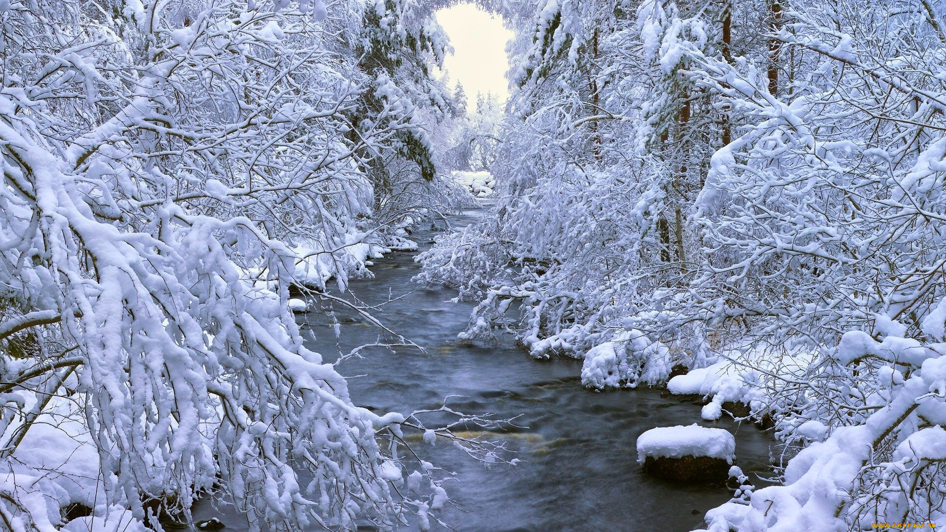 природа, реки, озера, деревья, снег