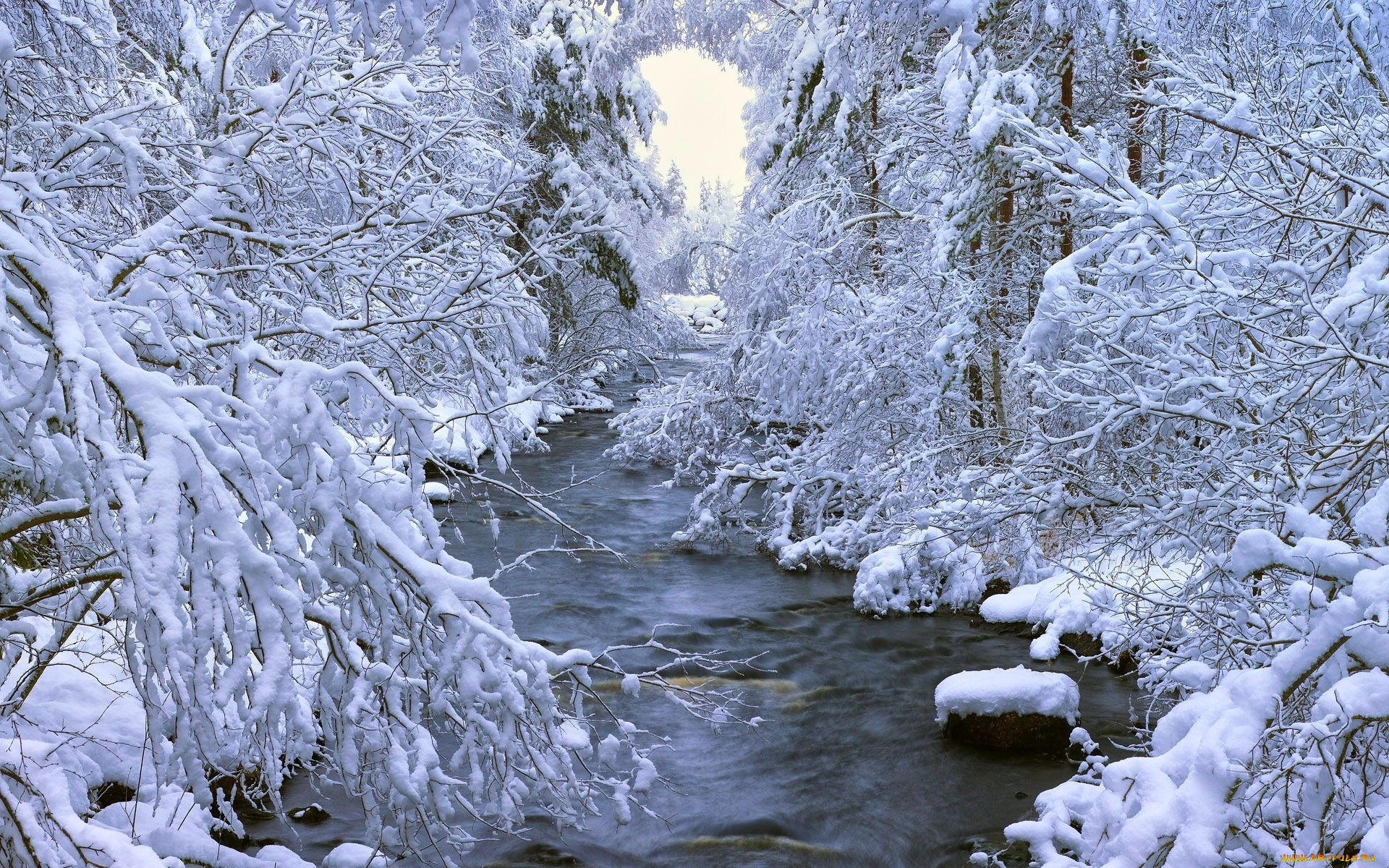 природа, реки, озера, деревья, снег