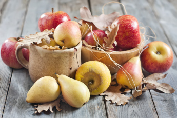 Картинка еда фрукты +ягоды листья яблоки груша