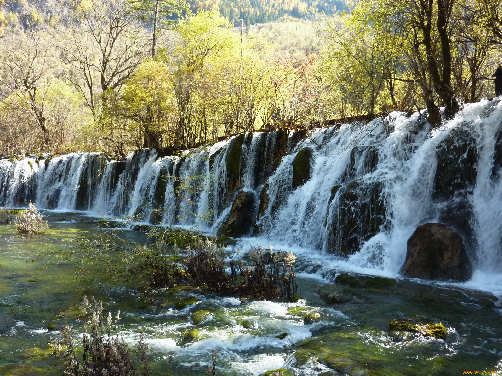 китай, jiuzhaigou, valley, bamboo, falls, природа, водопады, водопад