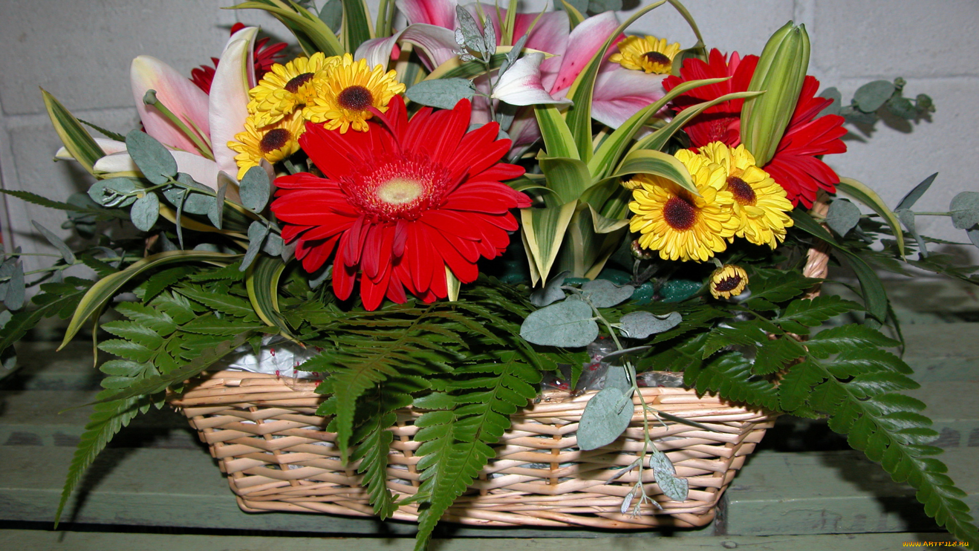 цветы, букеты, , композиции, герберы, лилии, маргаритки, корзинка