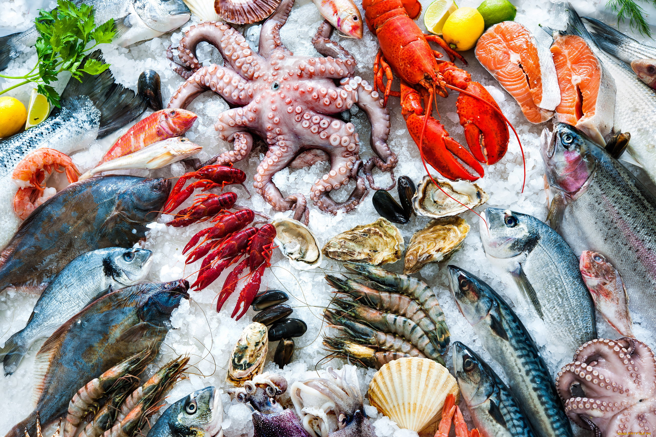 еда, рыба, , морепродукты, , суши, , роллы, лед, свежие, морепродукты, креветки, осьминог, мидии