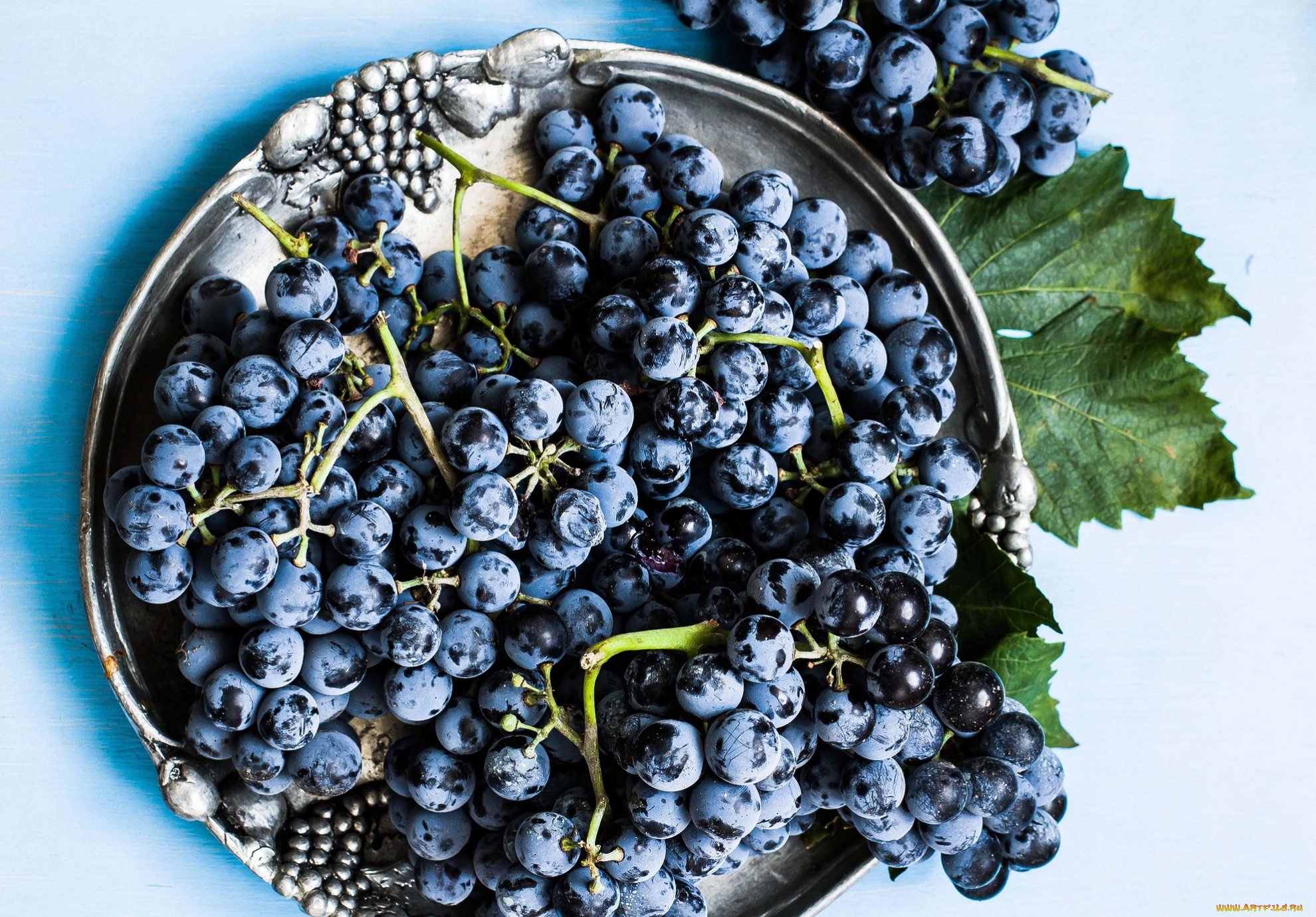 еда, виноград, гроздья, синий