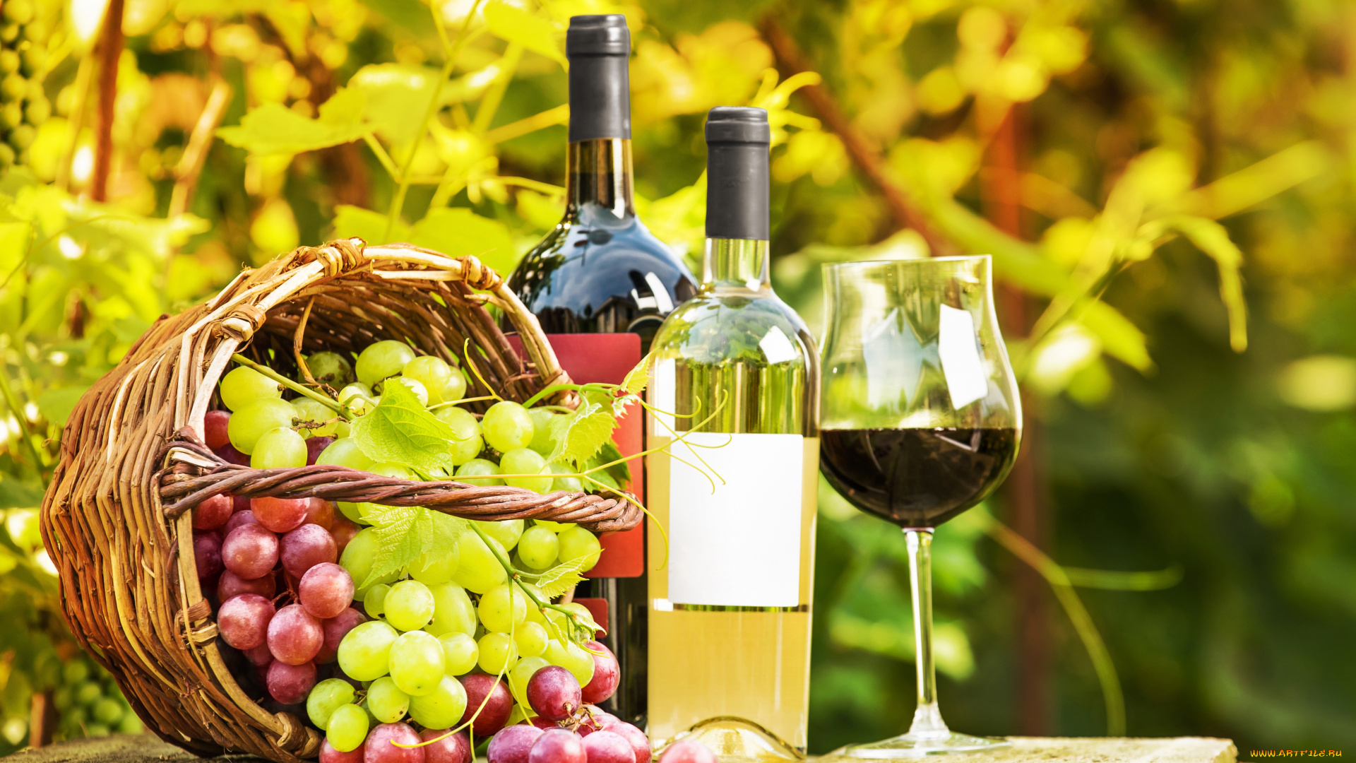 еда, напитки, , вино, виноград, корзина, зелень, сад, бутылки, бокал, вино, стол