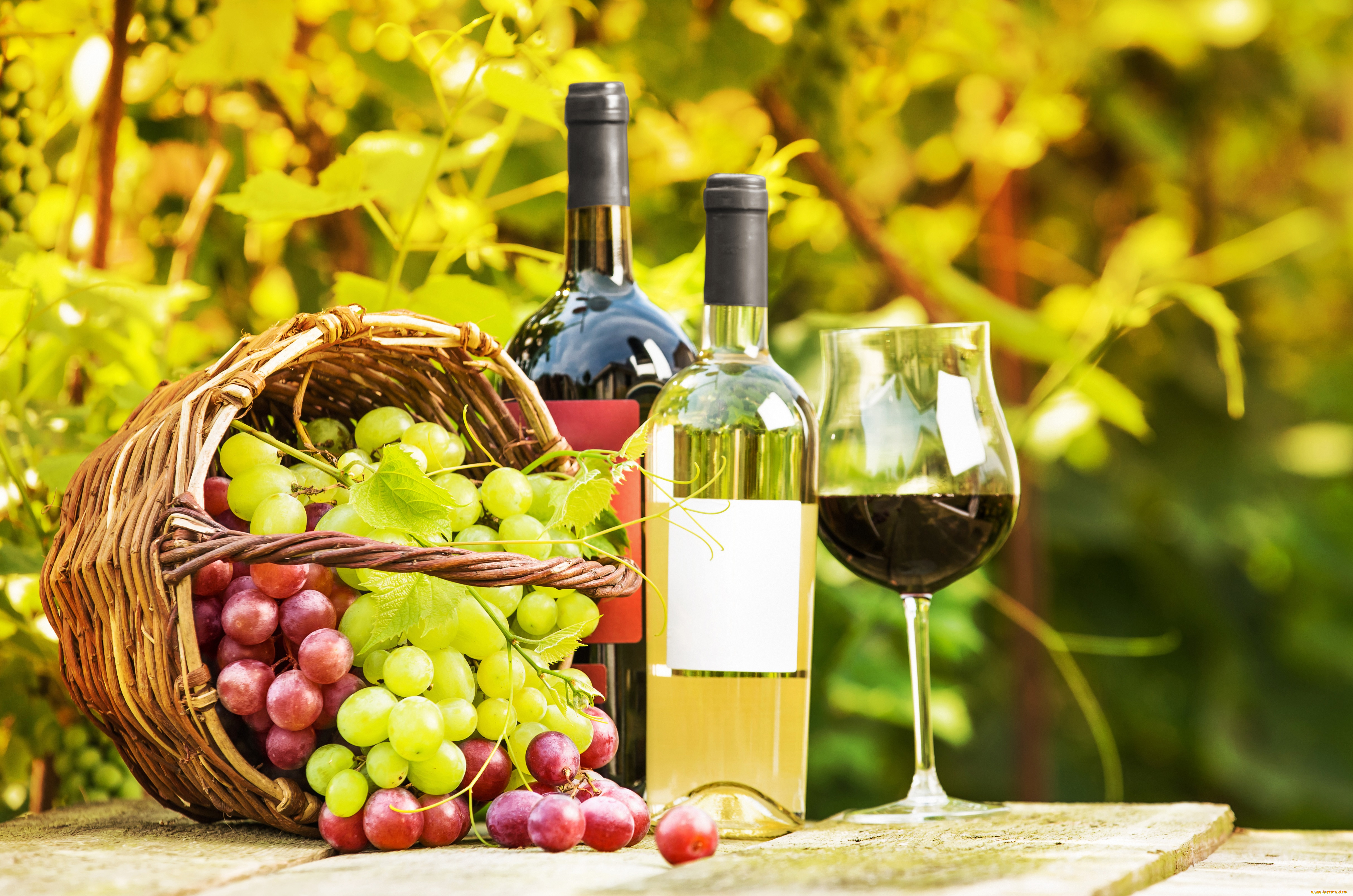 еда, напитки, , вино, виноград, корзина, зелень, сад, бутылки, бокал, вино, стол
