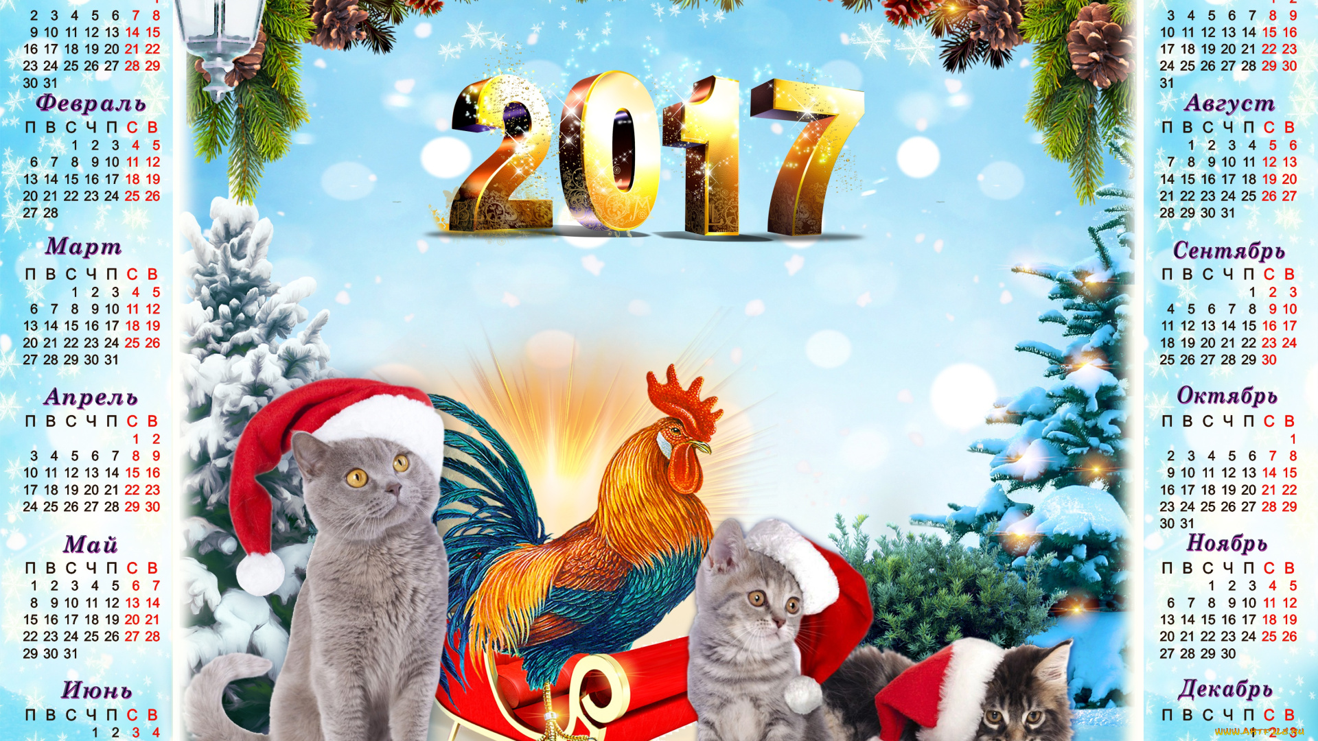 календари, животные, 2017, год, фон, петуха, серые, календарь, ели, голубой, котята