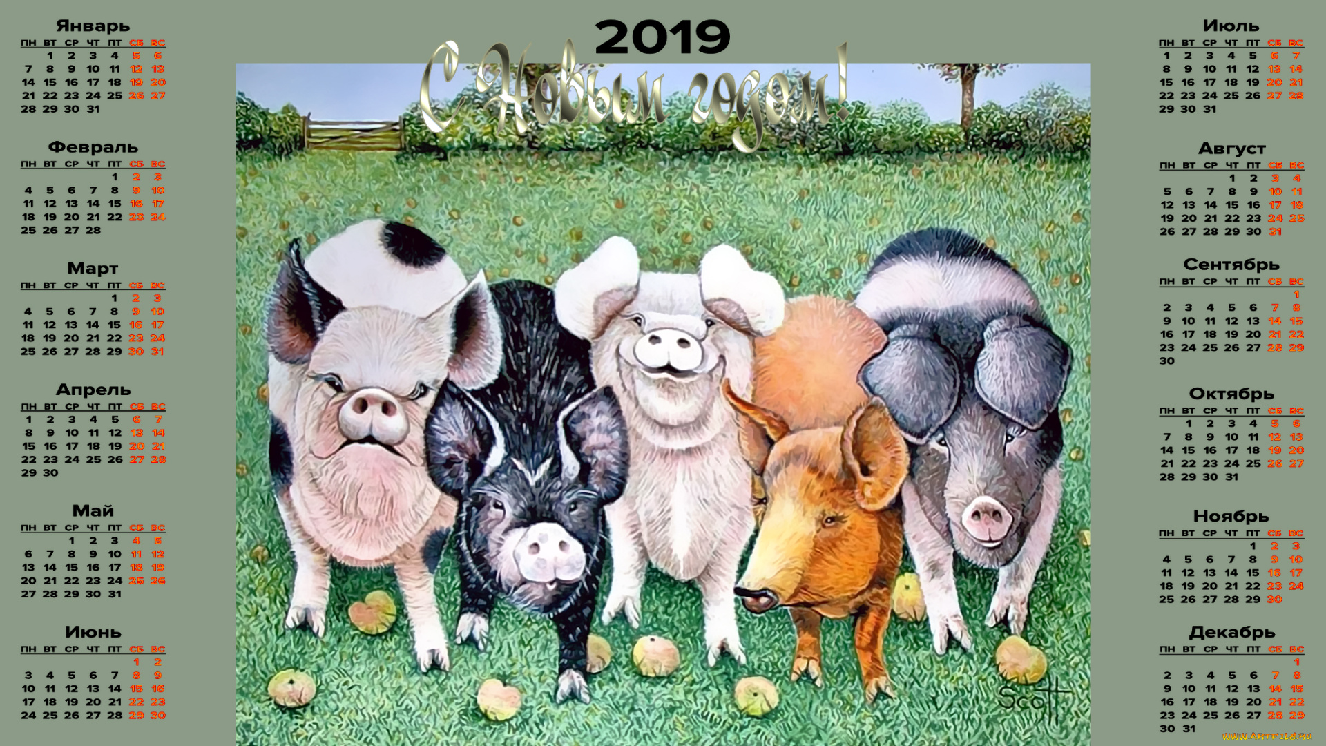 календари, праздники, , салюты, свинья, поросенок, трава