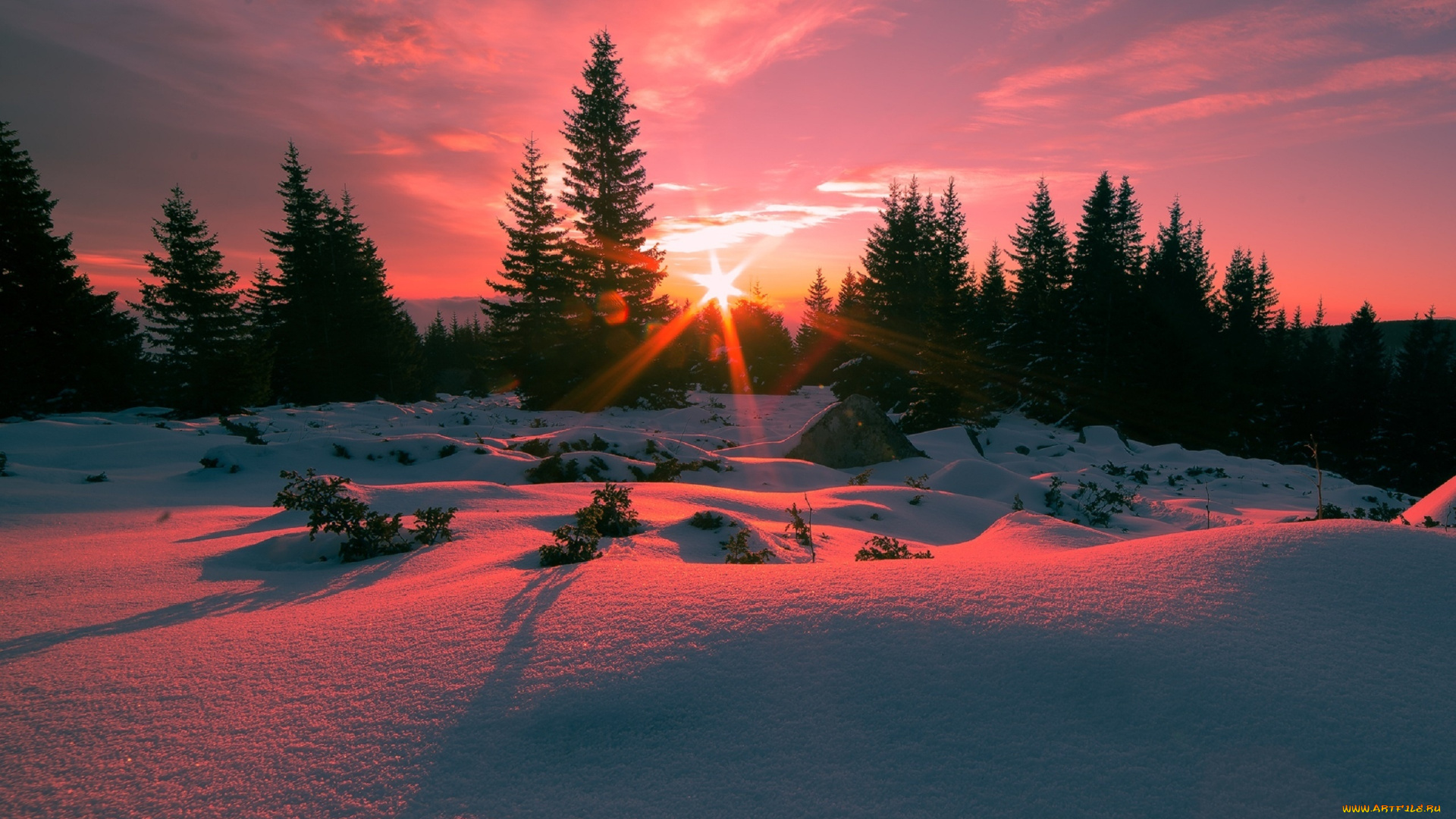 природа, зима, закат, вечер, снег, ели, небо, отражение, свечение, красота, пейзаж