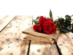 Картинка цветы розы бутоны салфетка доски