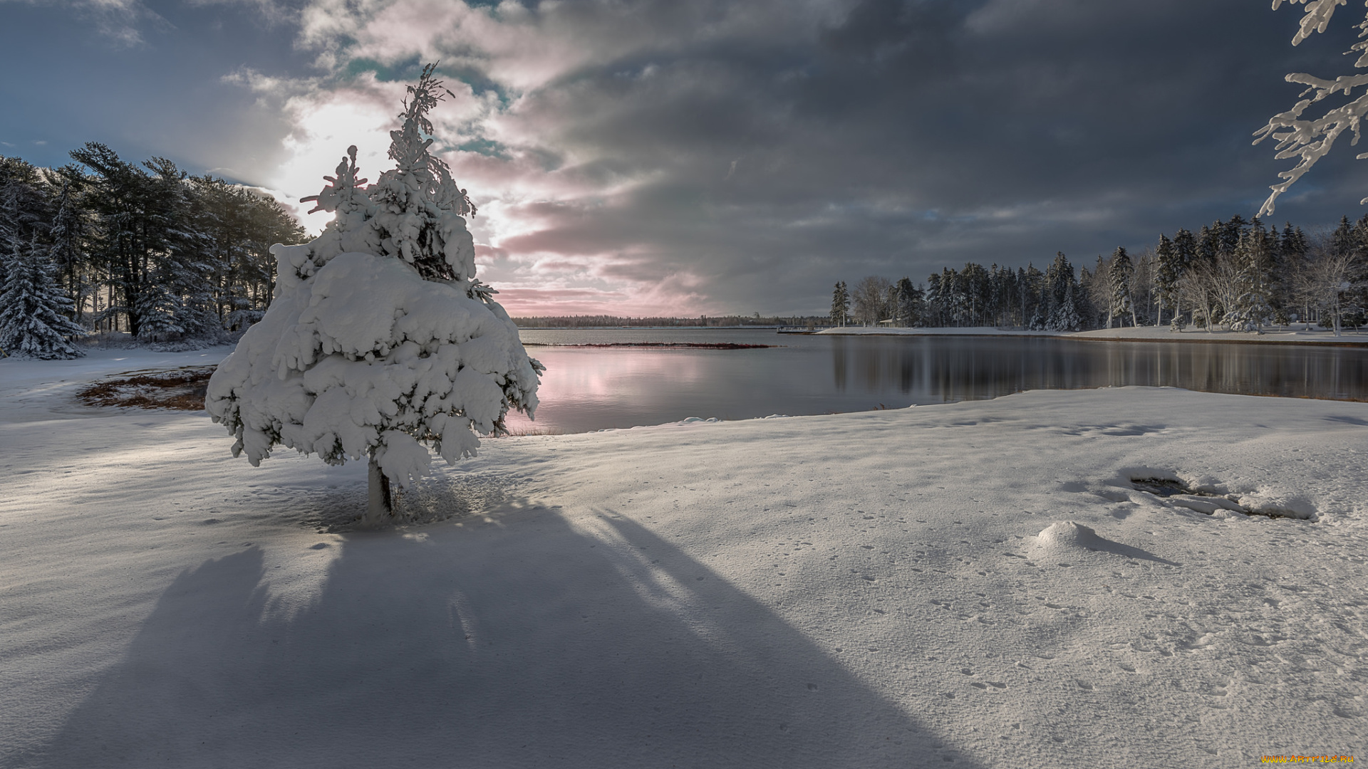 природа, зима, озеро, winter, landscape, snow, lake, tree, зимний, пейзаж, снег, дерево