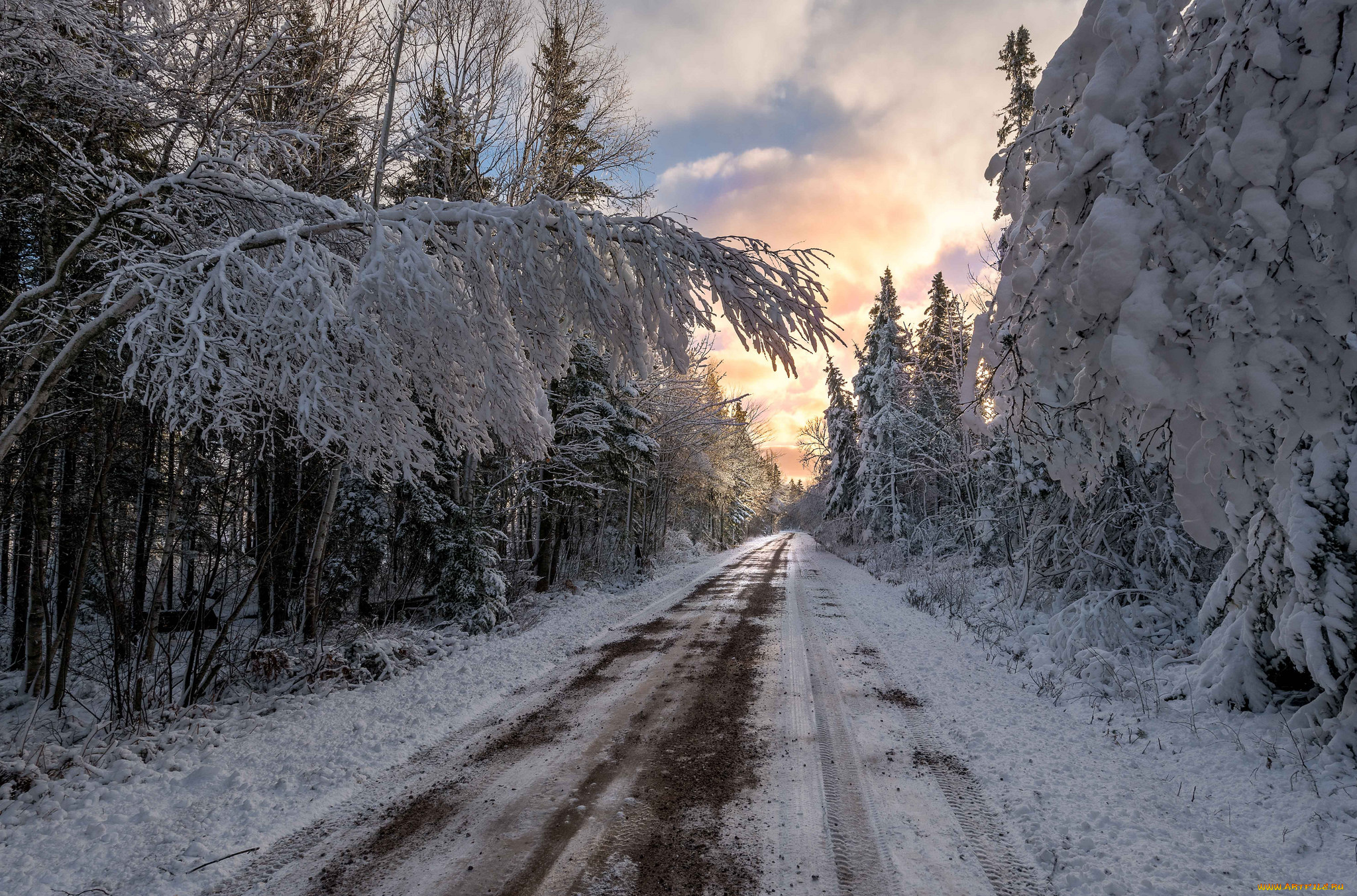 природа, дороги, деревья, снег, road, winter, trees, snow, дорога