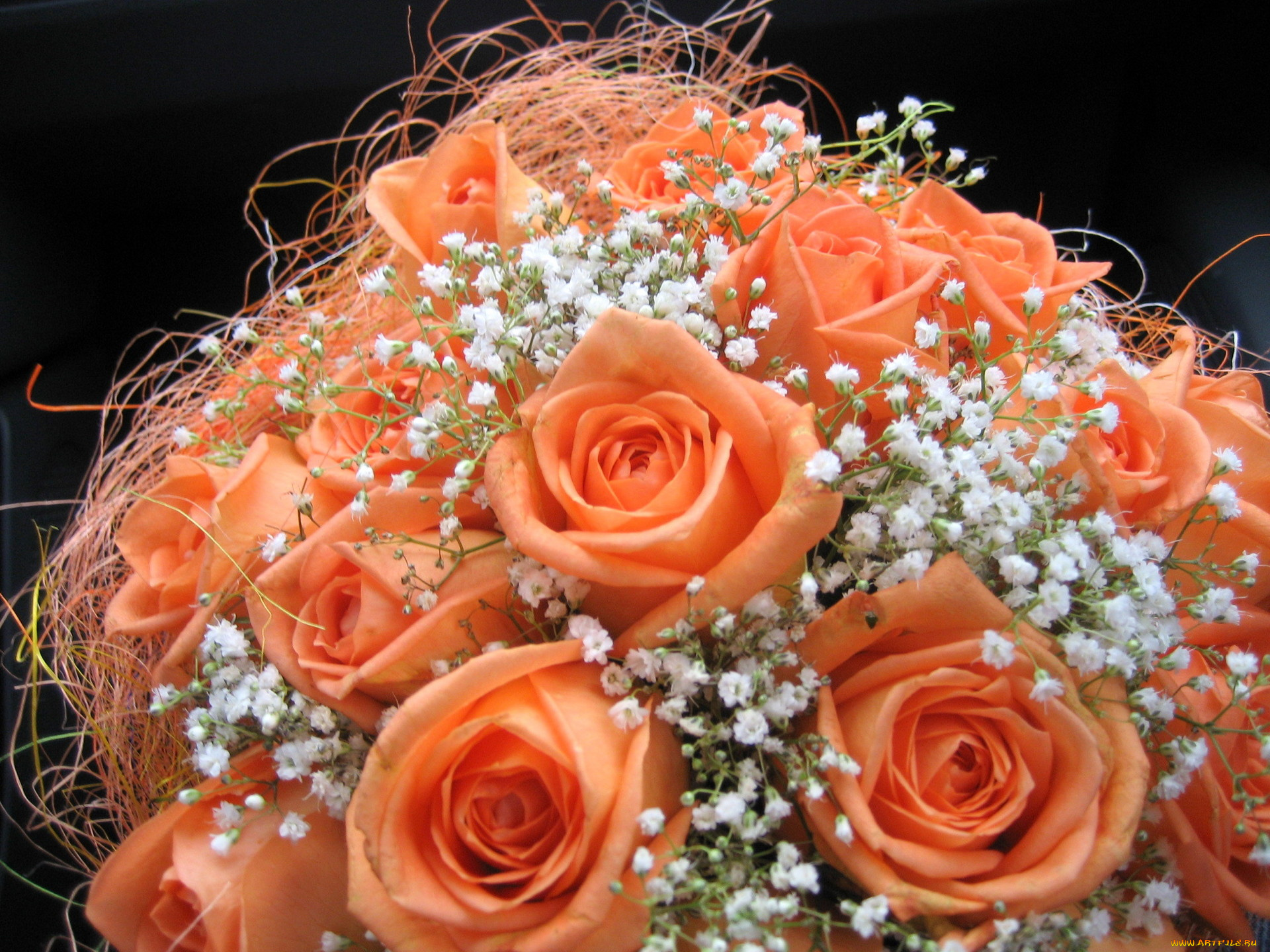 цветы, букеты, композиции, розы, гипсофила, оранжевый