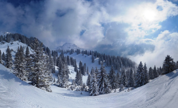 Картинка природа горы снег зима деревья облака