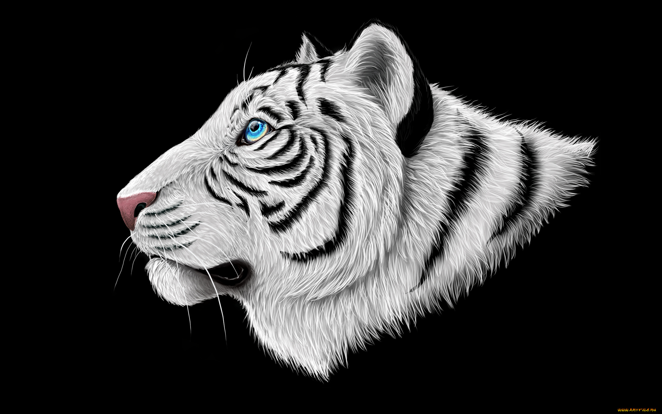 белый, тигр, рисованные, животные, , тигры, темный, фон, тигр