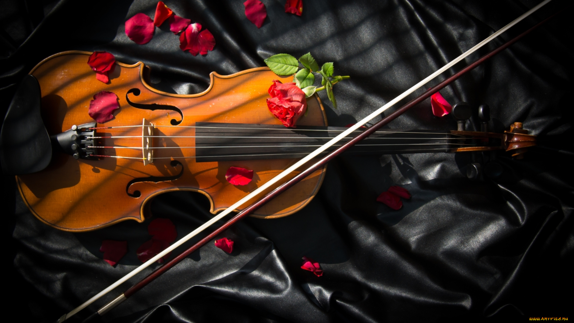 музыка, -музыкальные, инструменты, смычок, скрипка, розы