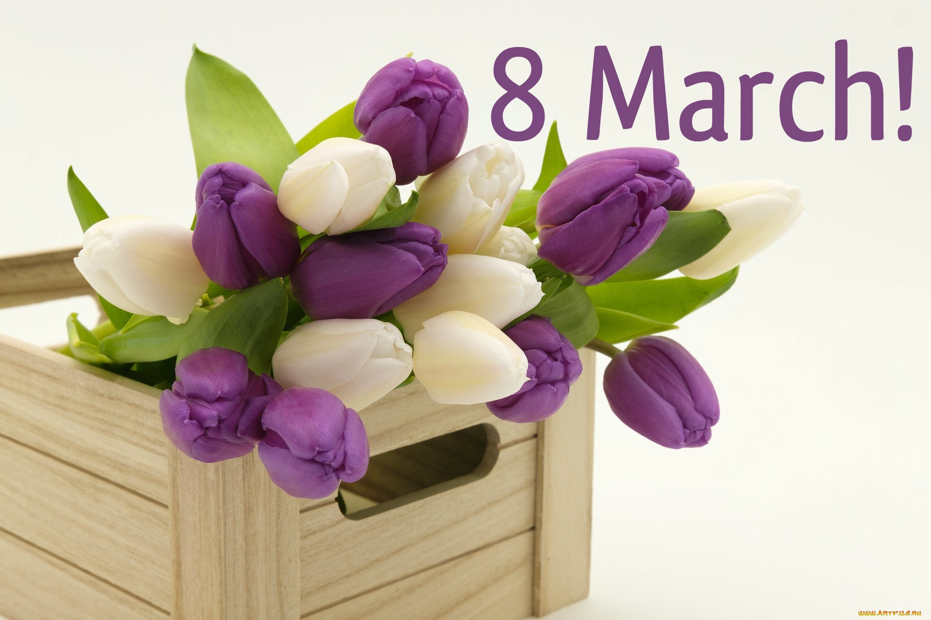 праздничные, международный, женский, день, -, 8, марта, фон, цветы, 8, марта, международный, женский, день