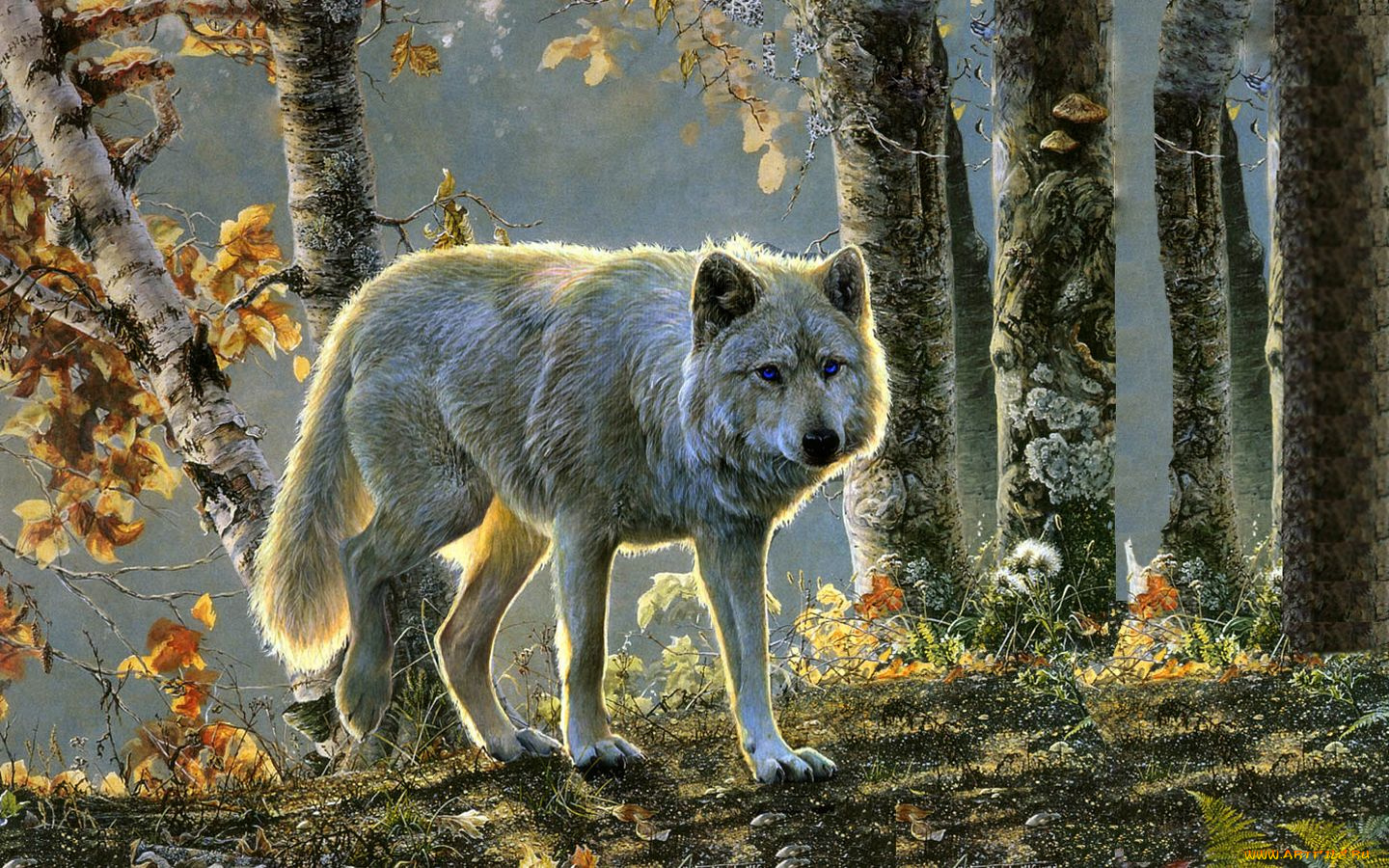 рисованные, животные, волки