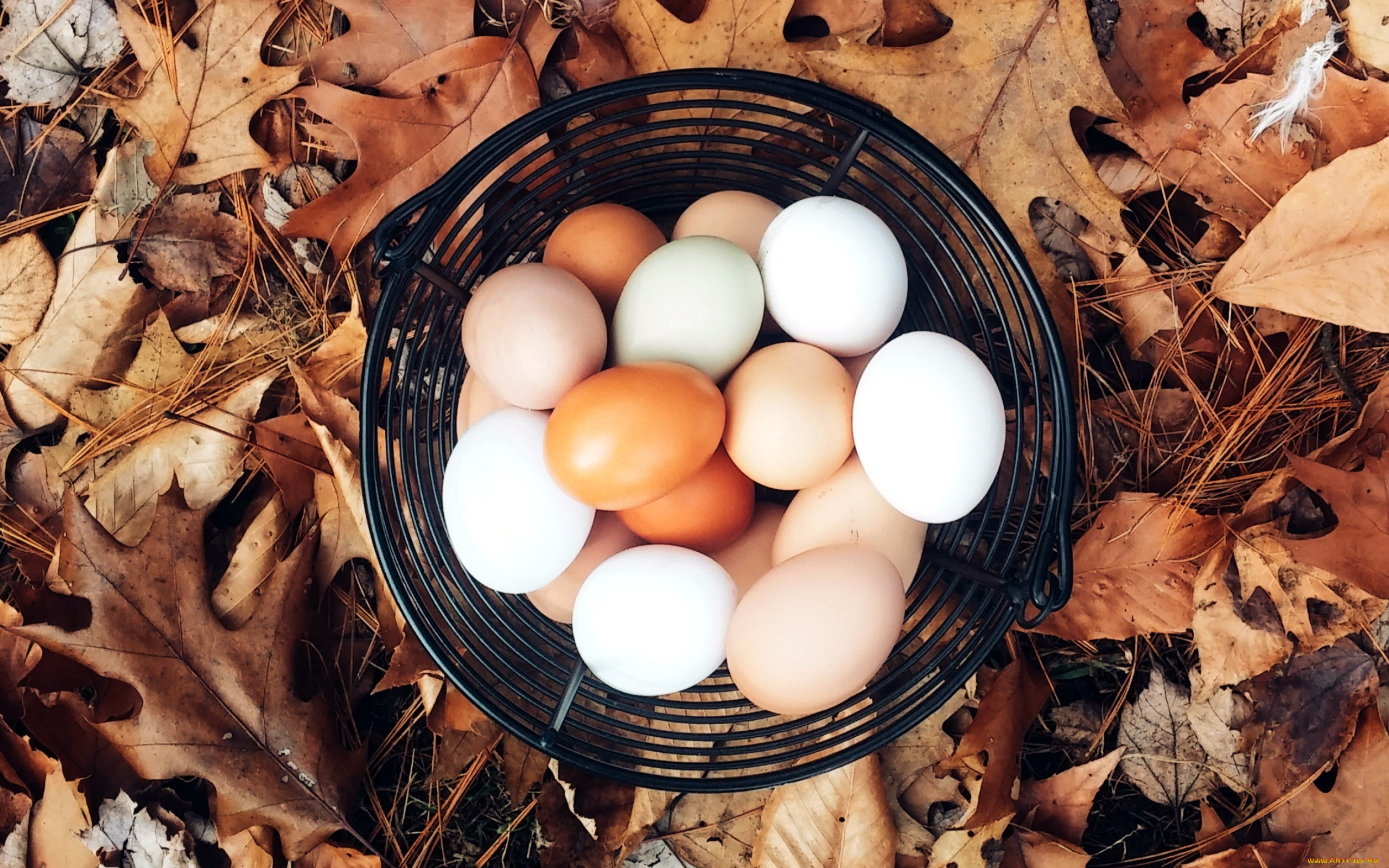 еда, Яйца, корзинка, яйца, листья, осень