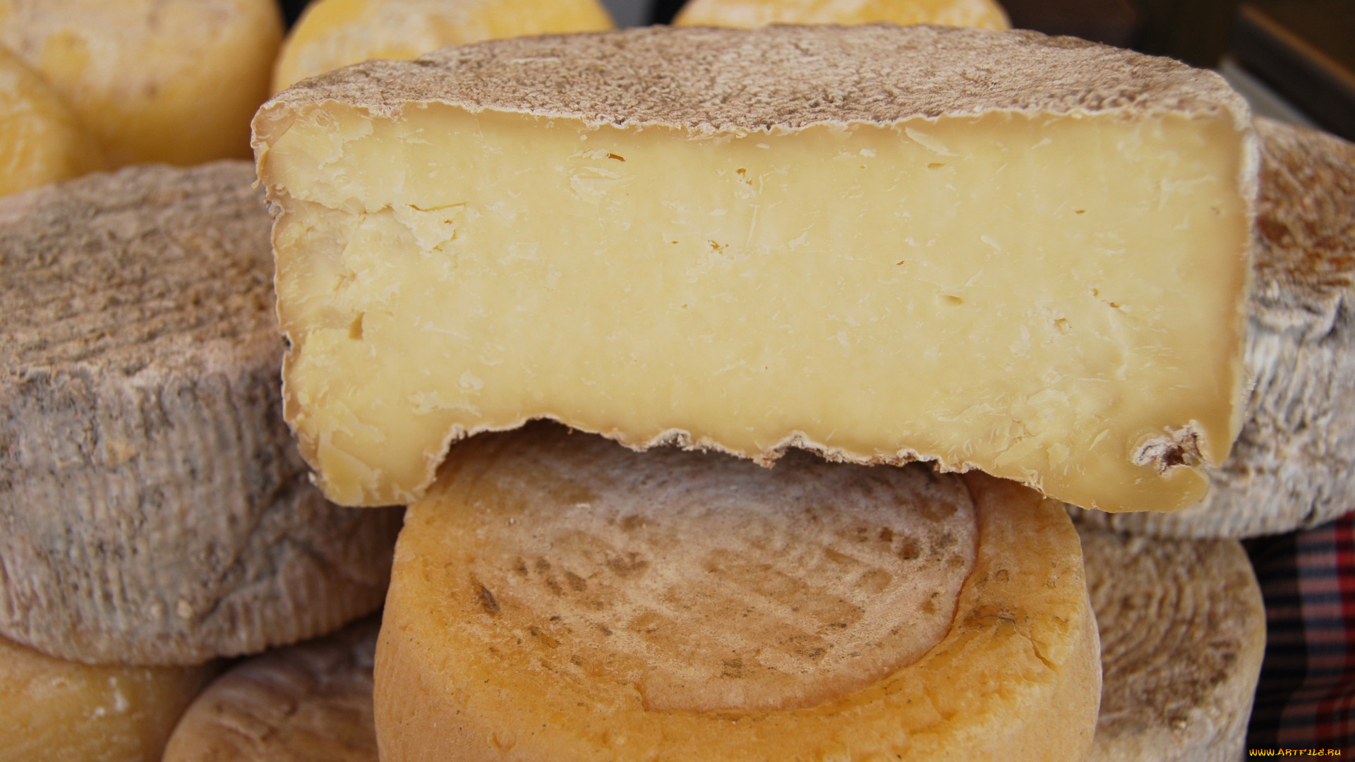 formatge, madurat, mas, el, lladr&, 233, еда, сырные, изделия, сыр