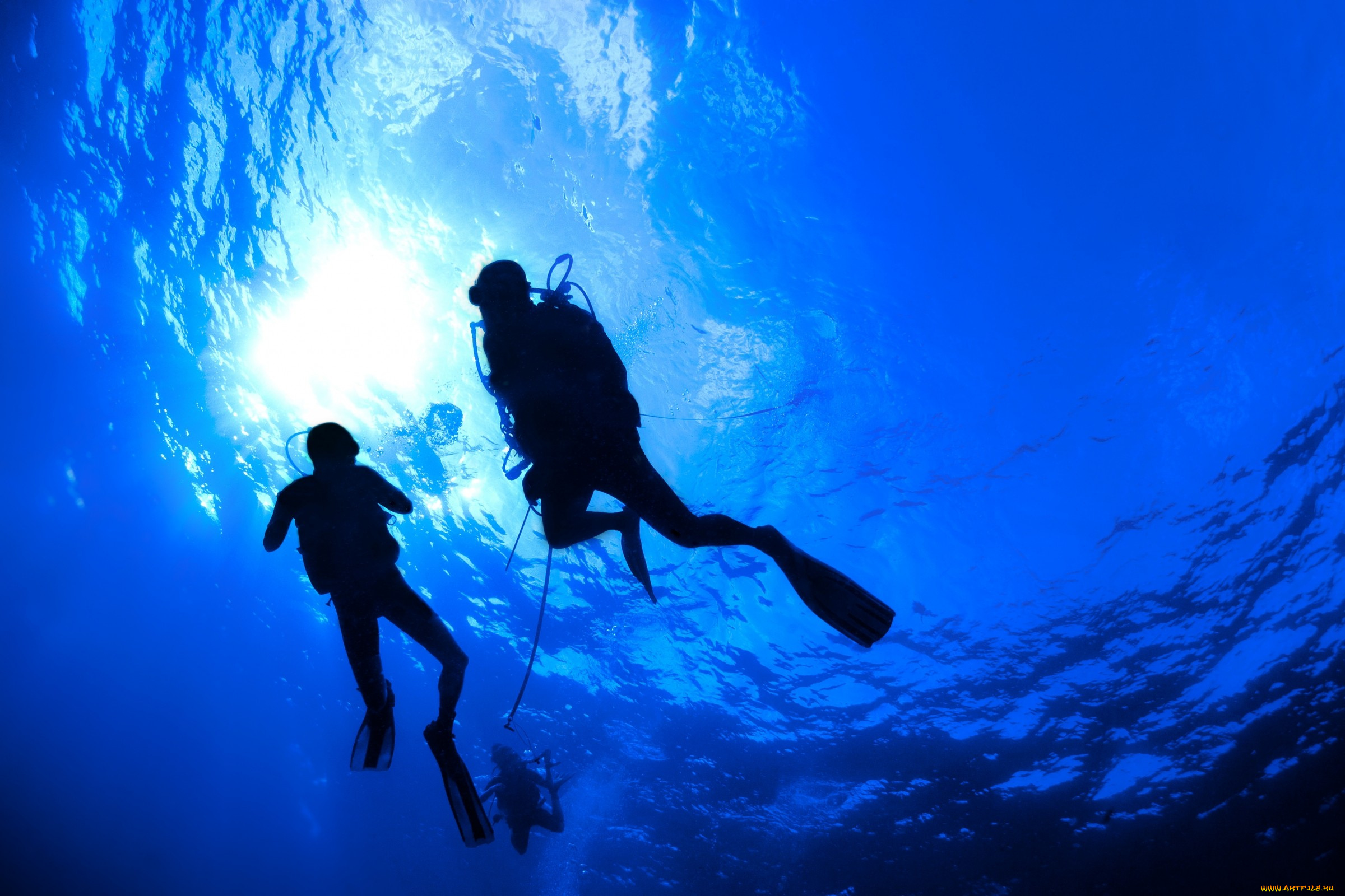 diving, спорт, -, другое, погружение, подводное, плавание, море