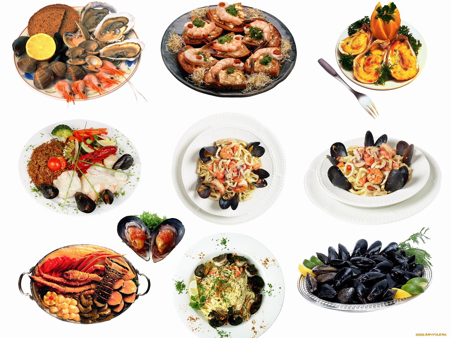 еда, рыбные, блюда, морепродуктами, устрицы, тарелки