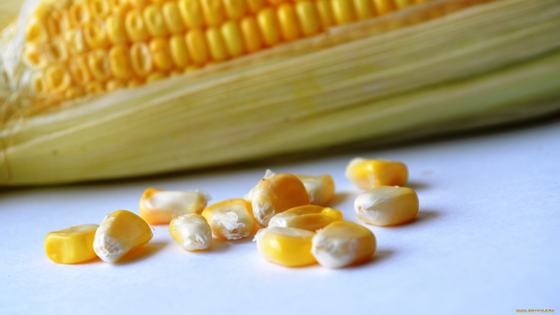 еда, кукуруза, початок, кукурузный, зерна