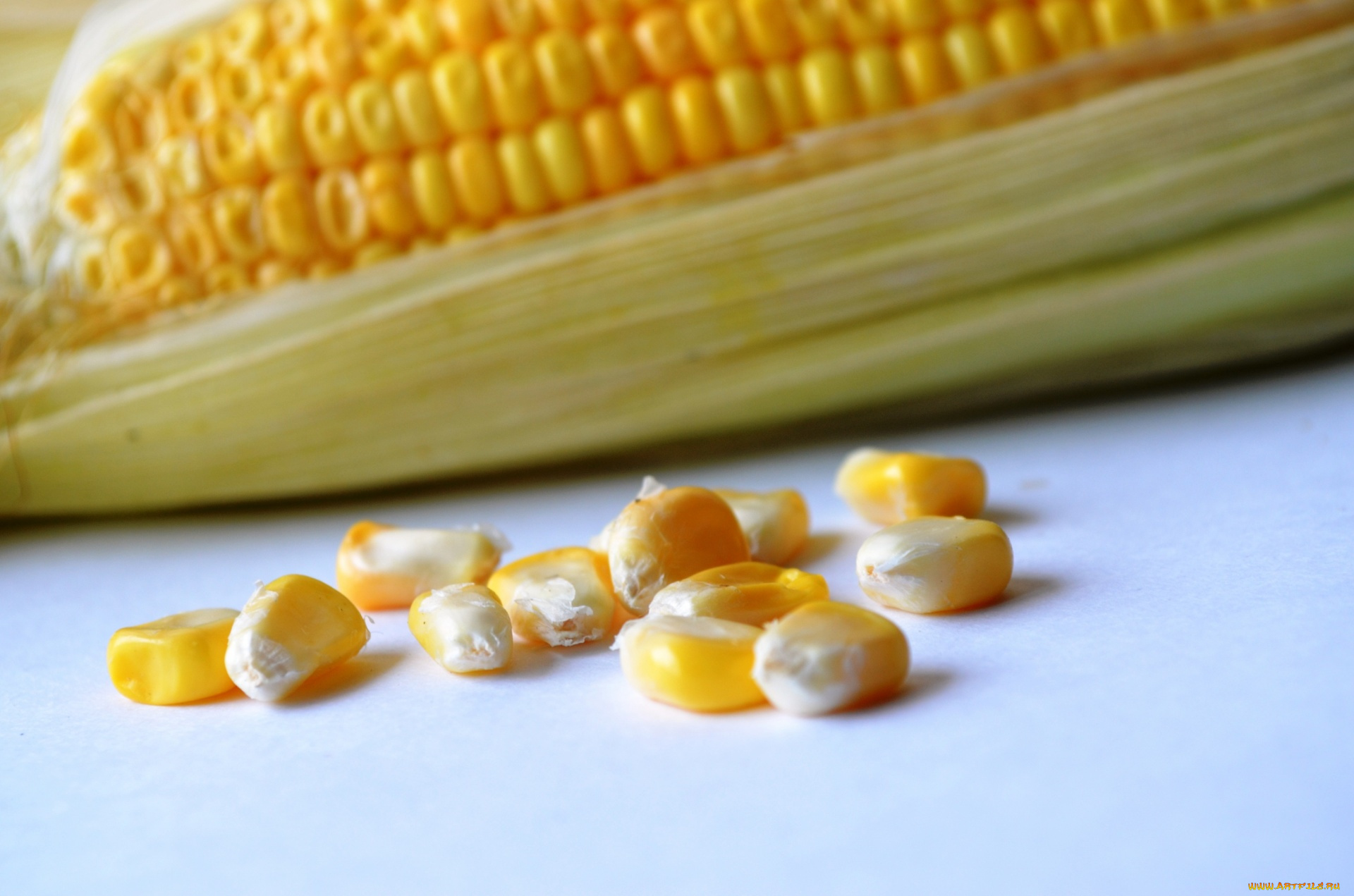 еда, кукуруза, початок, кукурузный, зерна