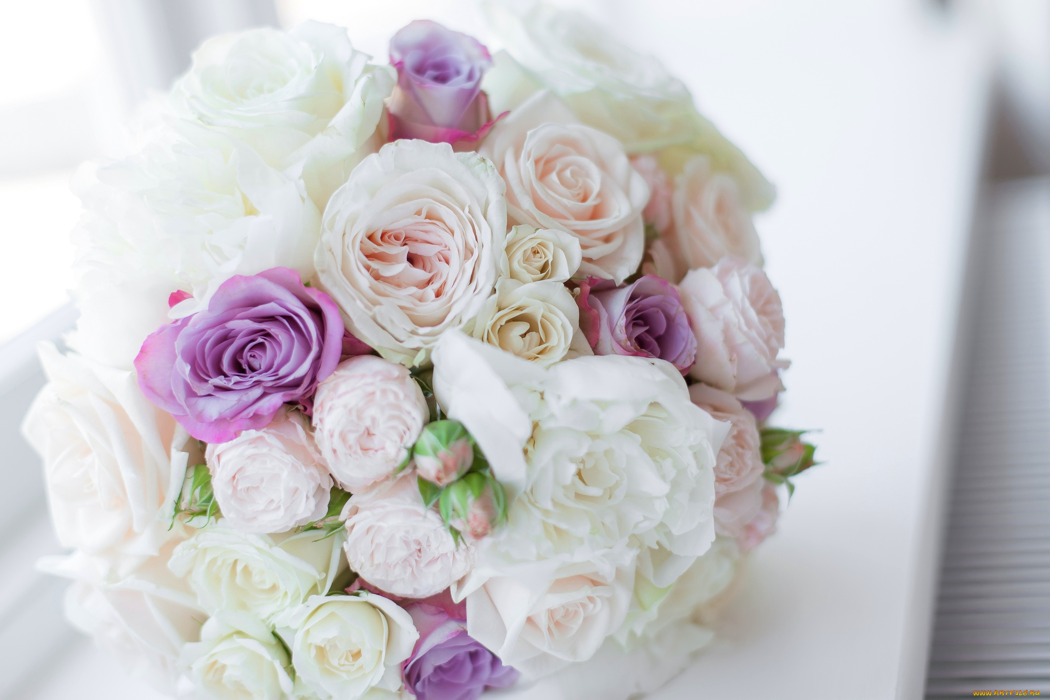 цветы, розы, свадебный