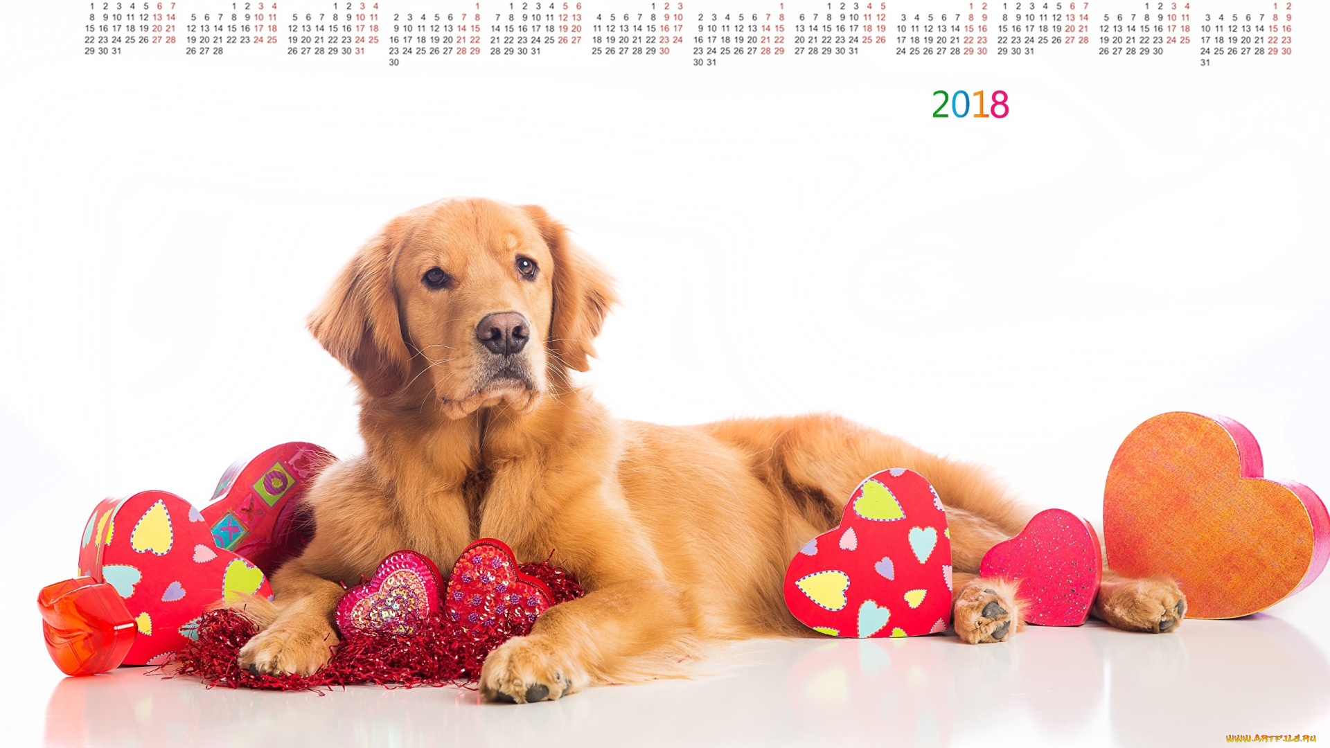 календари, животные, сердце, коробка, взгляд, собака, 2018