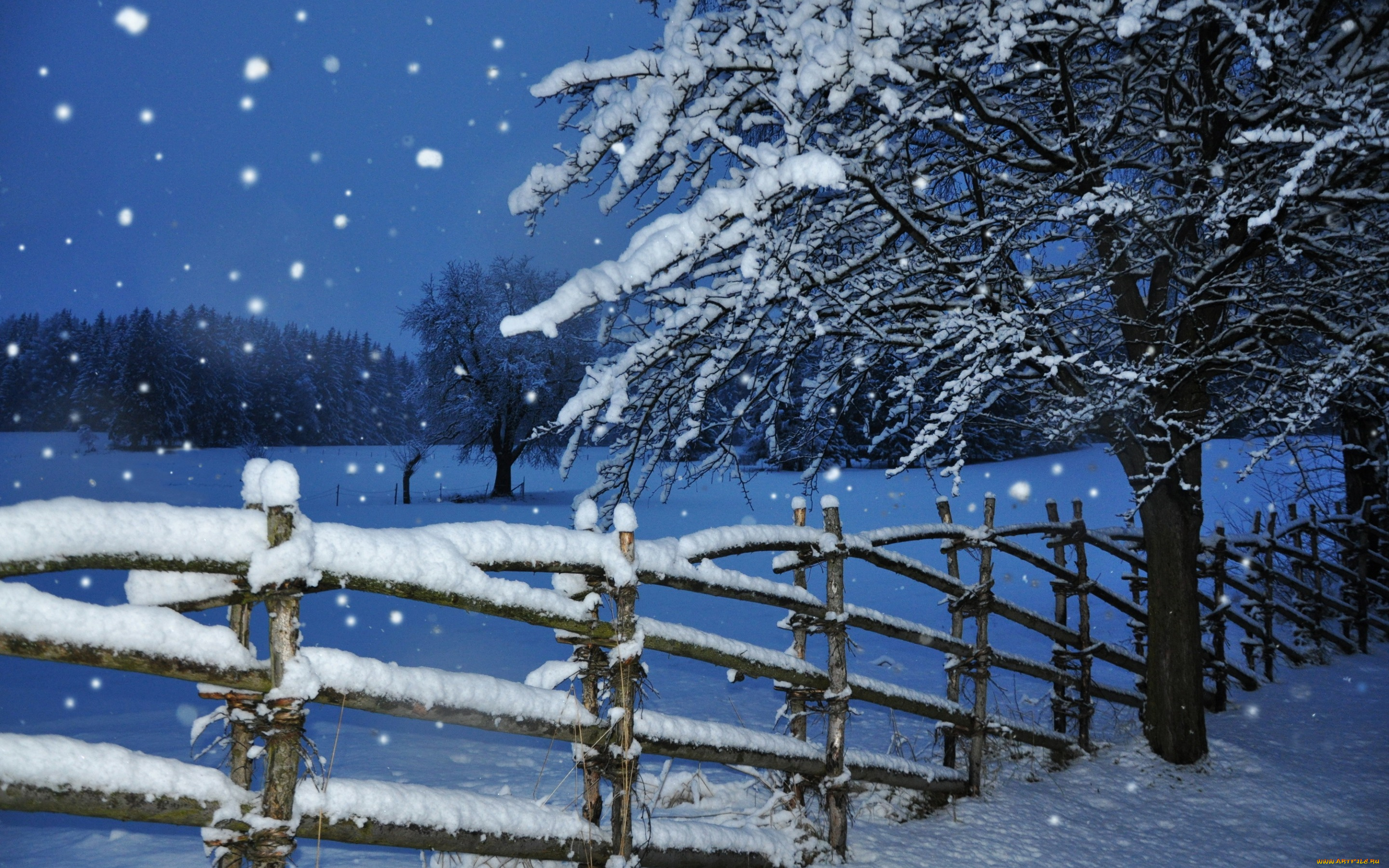 природа, зима, забор, дерево, снегопад, снег, вечер, сумерки