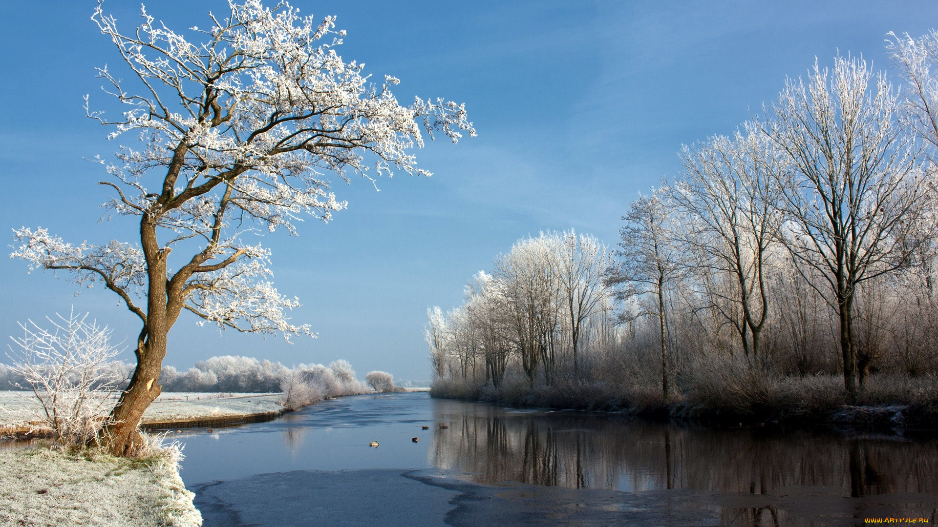 природа, зима, снег, деревья, река, иней