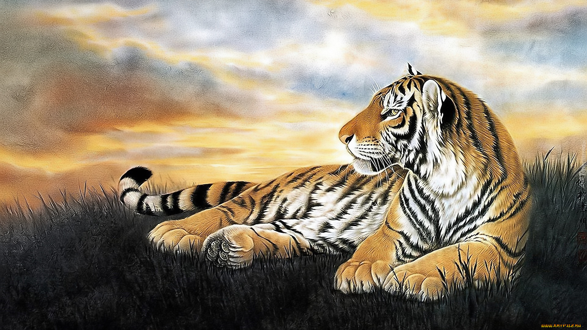 рисованное, животные, , тигры, тигр, трава, облака
