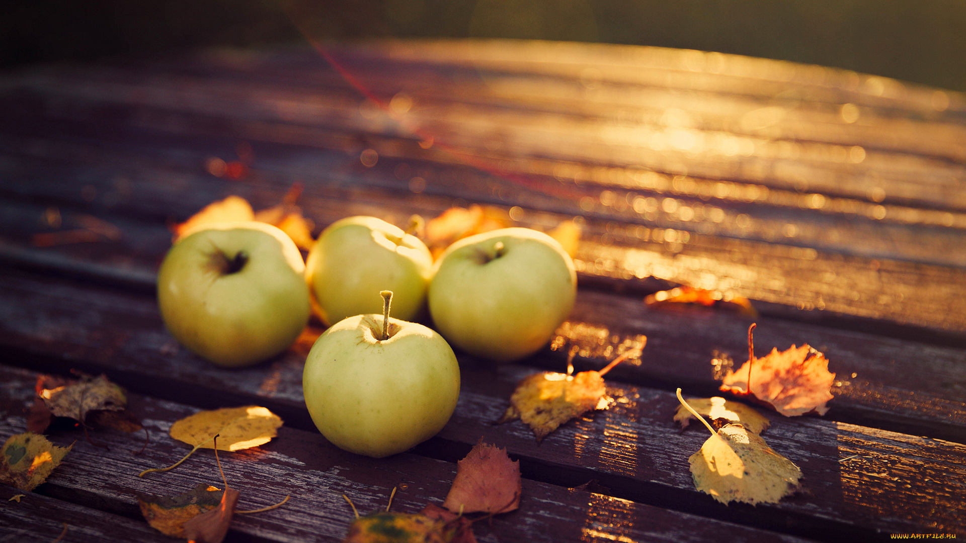еда, Яблоки, плоды, осень, листья